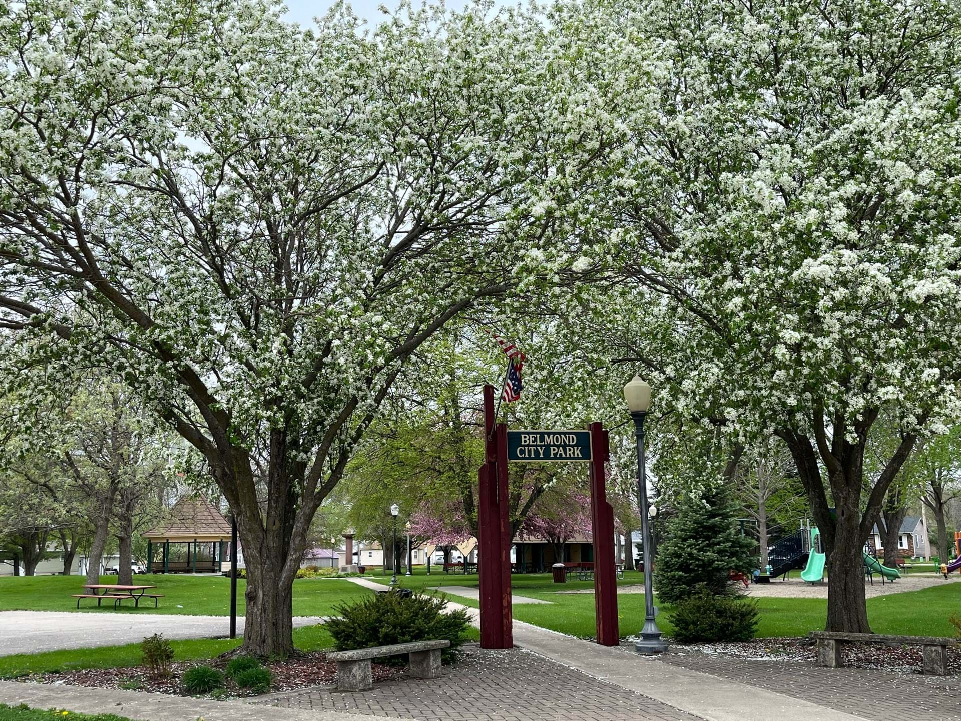 City Park in Bloom! 