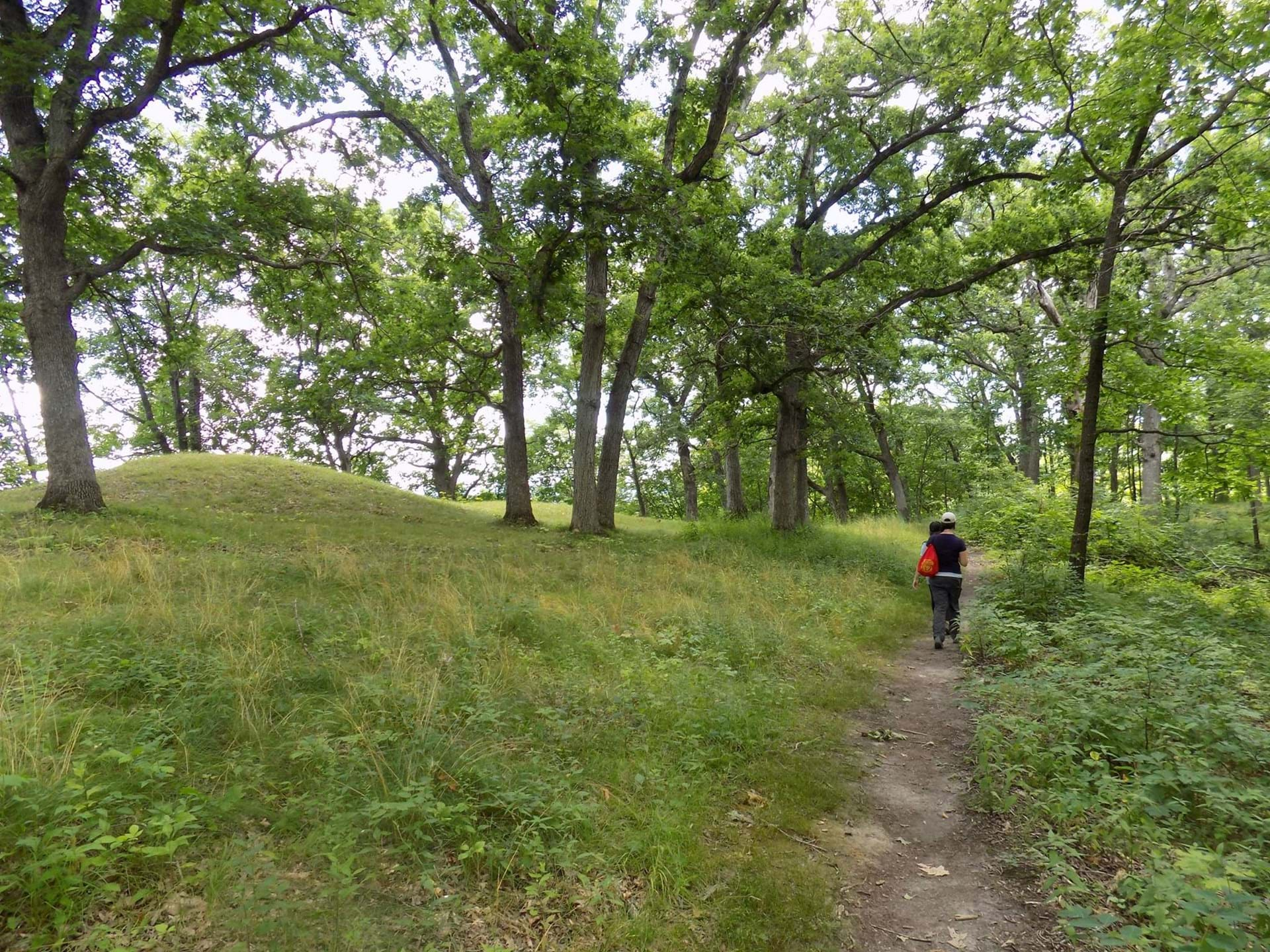 Hiking at TF Clark's Park is fun for the whole family!