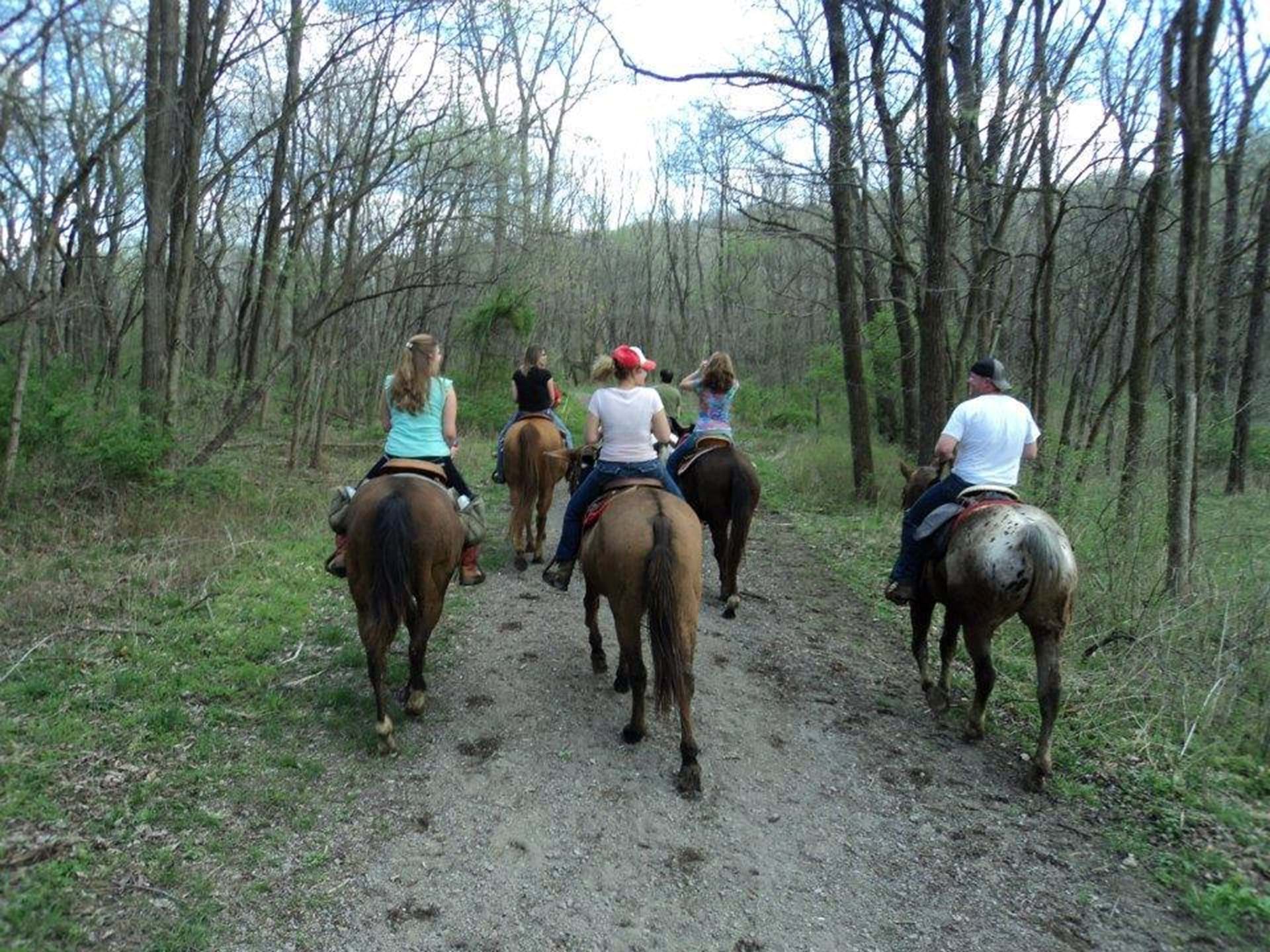 Rent a Horse in Farmington, IA