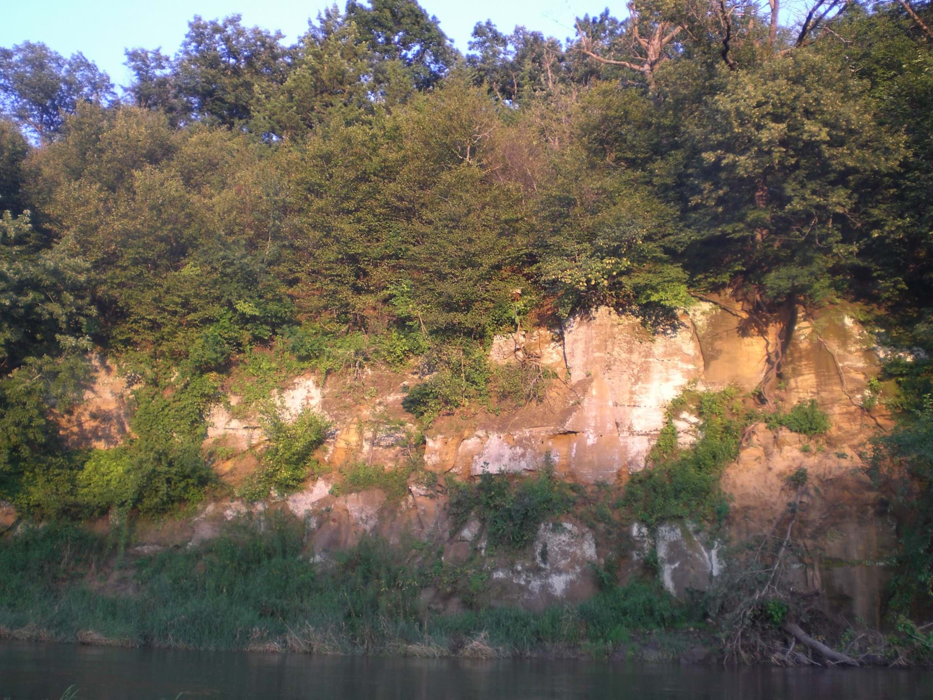 Whiterock 