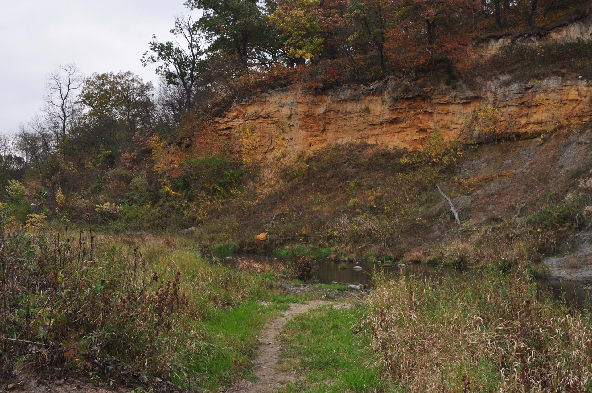 Whiterock Conservancy
