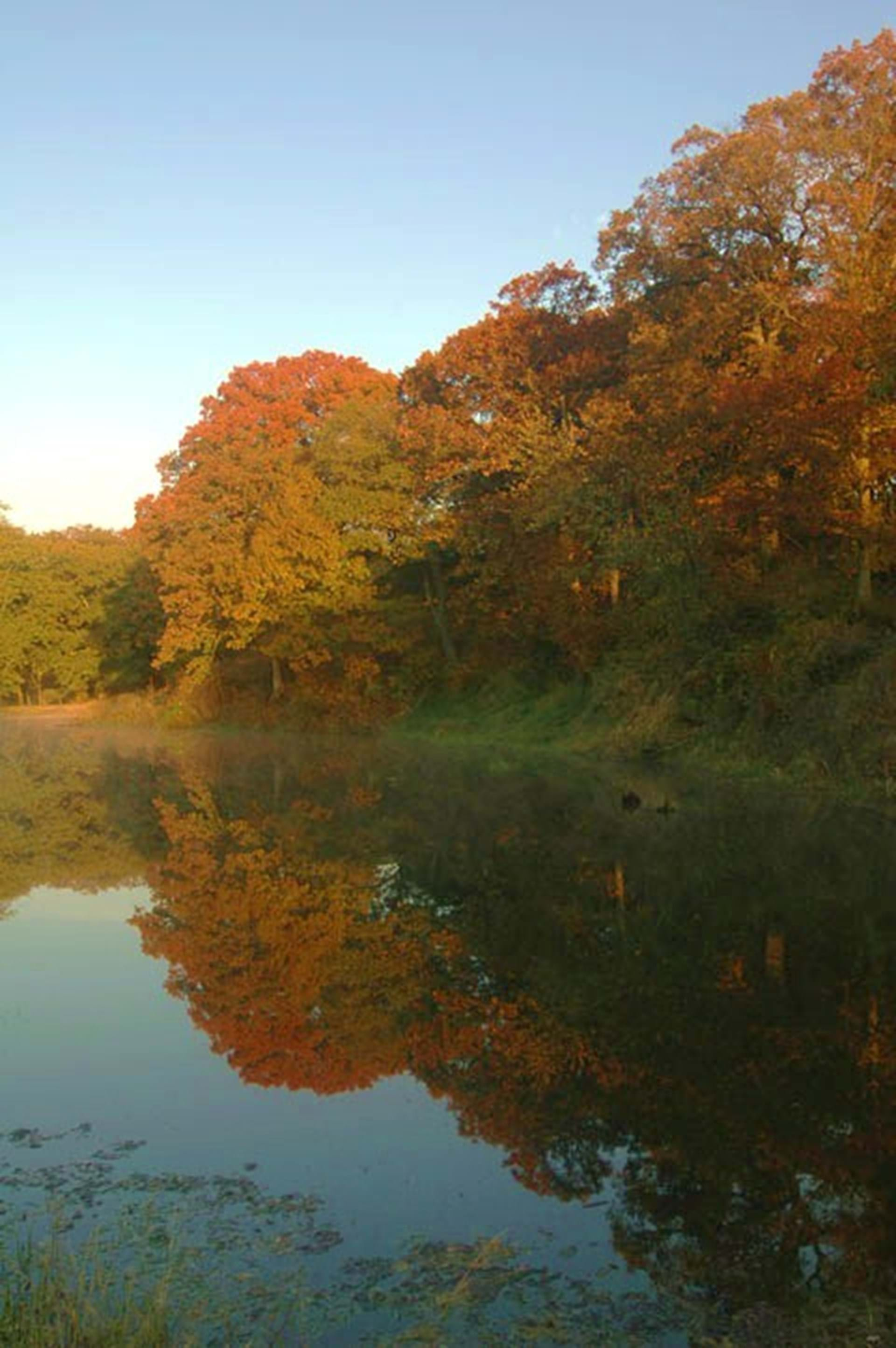 1 of 12 fishing ponds