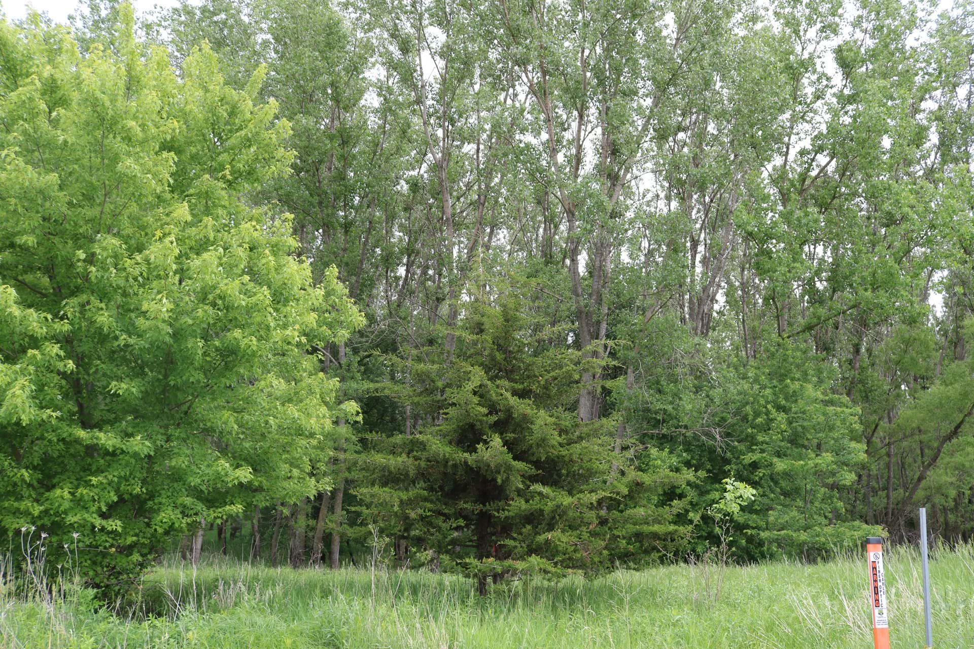 Redtail Ridge Area