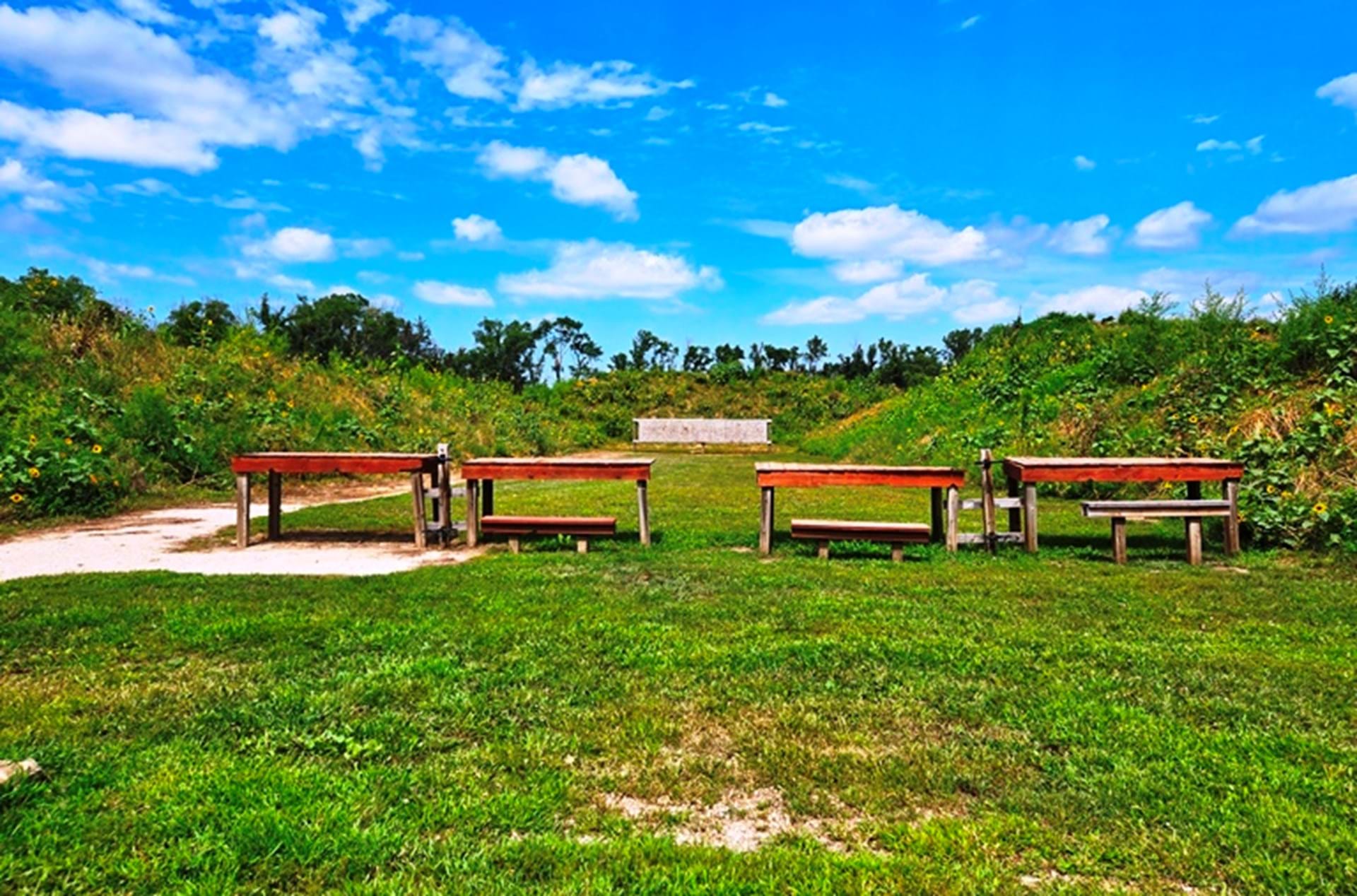 50 yd