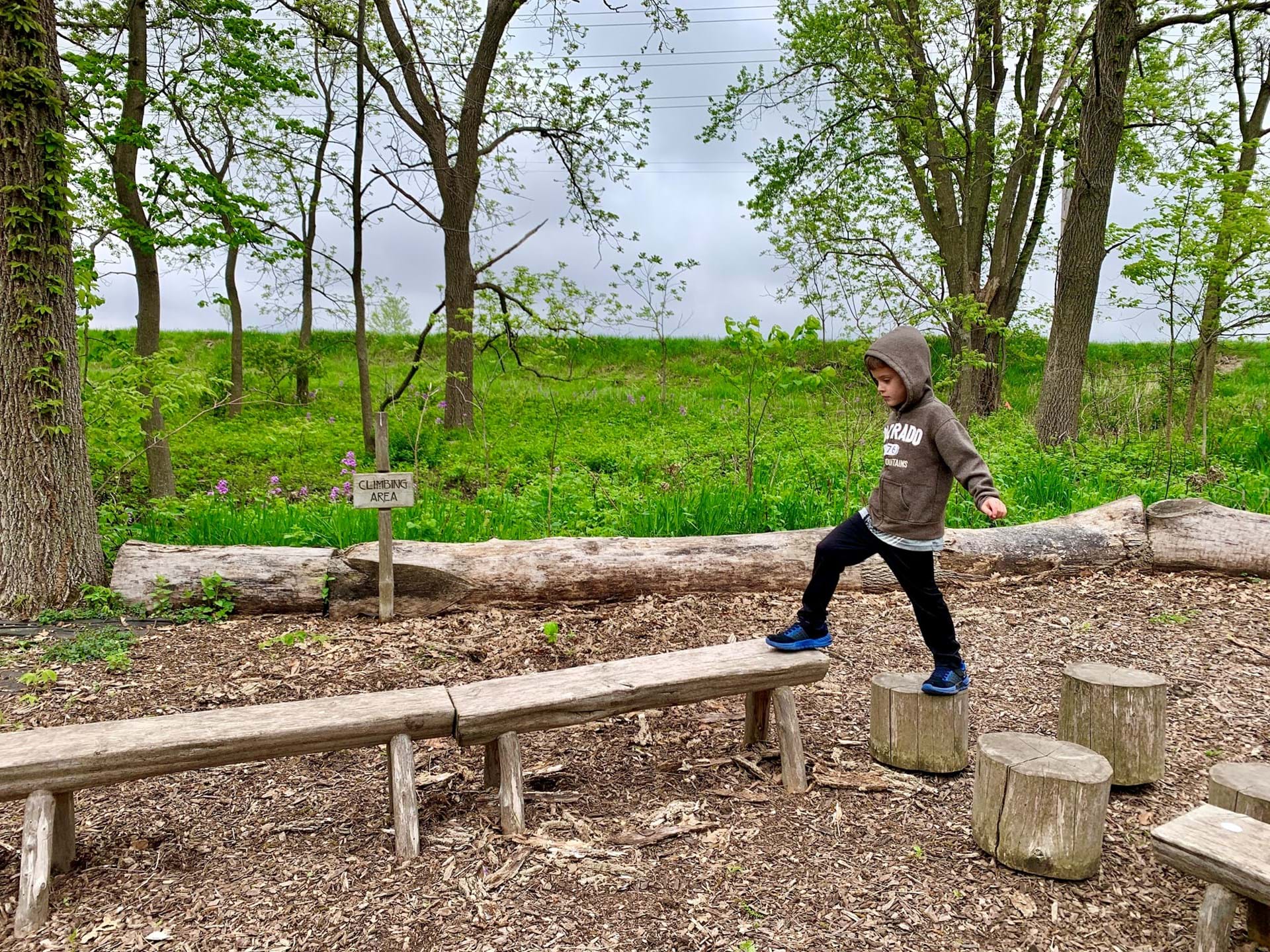 Discovery Playscape