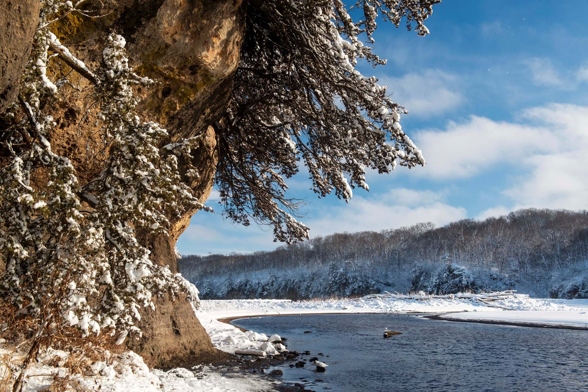 Winter Wonder