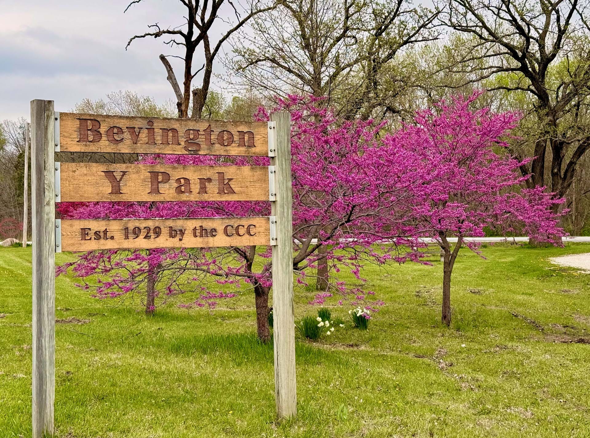 Bevington Y Park