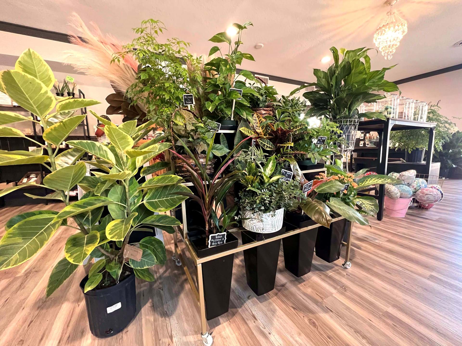Evergreen & Lily Floral Studio