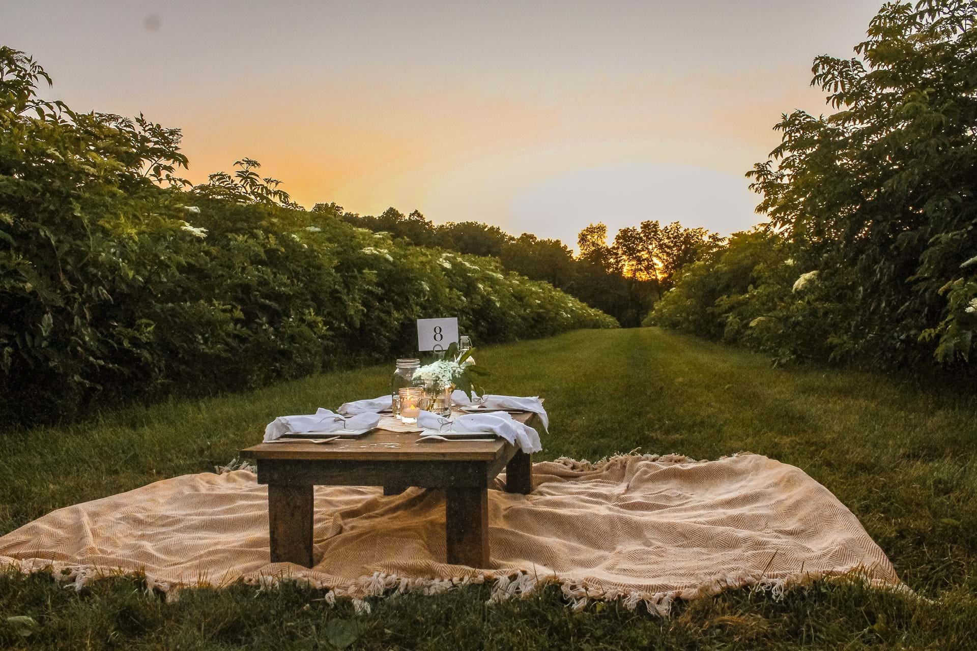 Blanket Picnic Package
