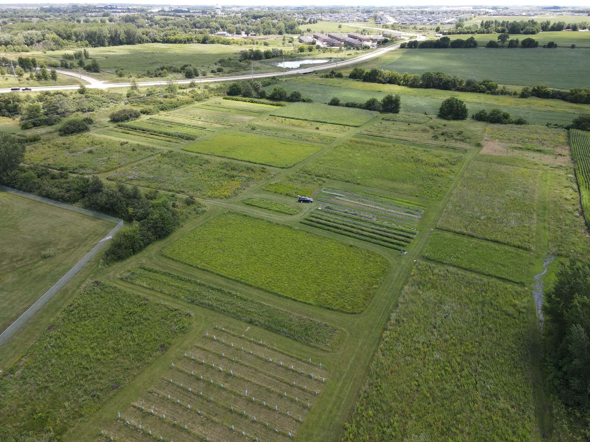TPC Production Plots