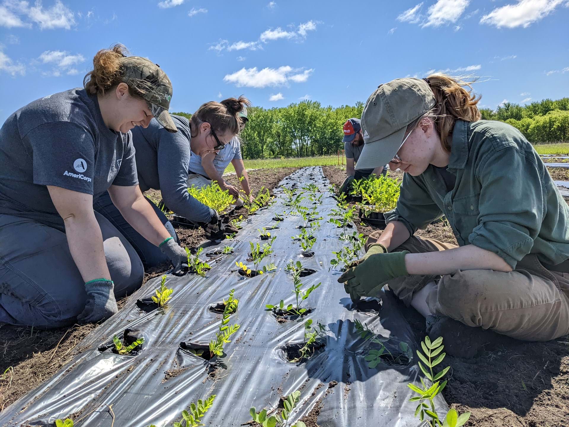 AmeriCorps and Students Working In Production Plots