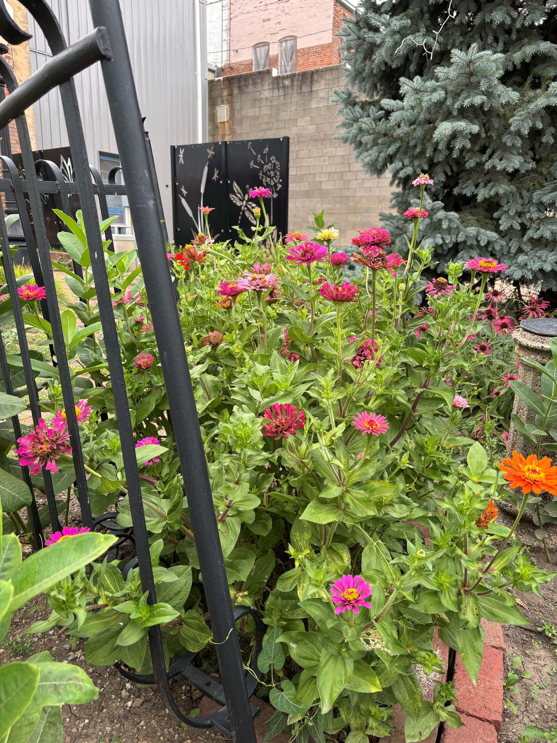 Beautiful flowers create a great backdrop