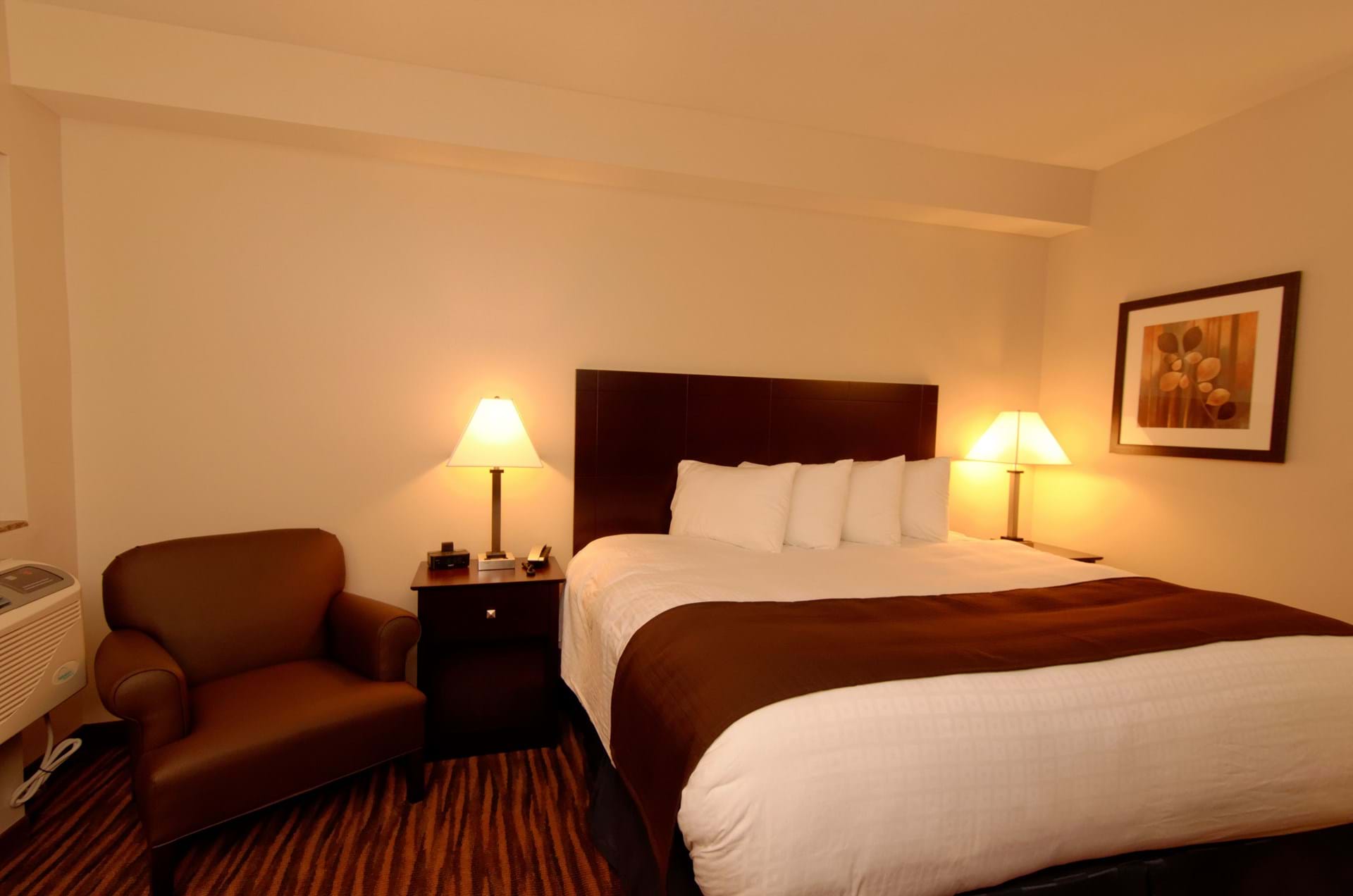 Single King Suite