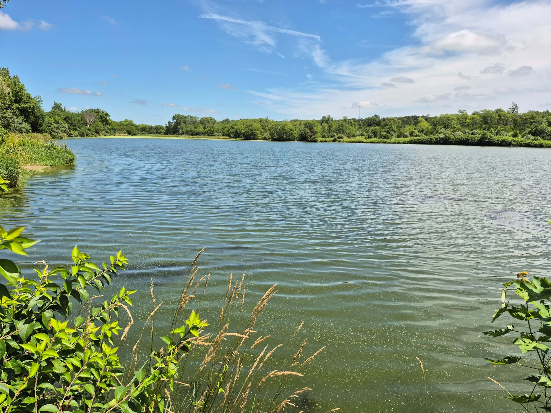 Pierce Creek Lake