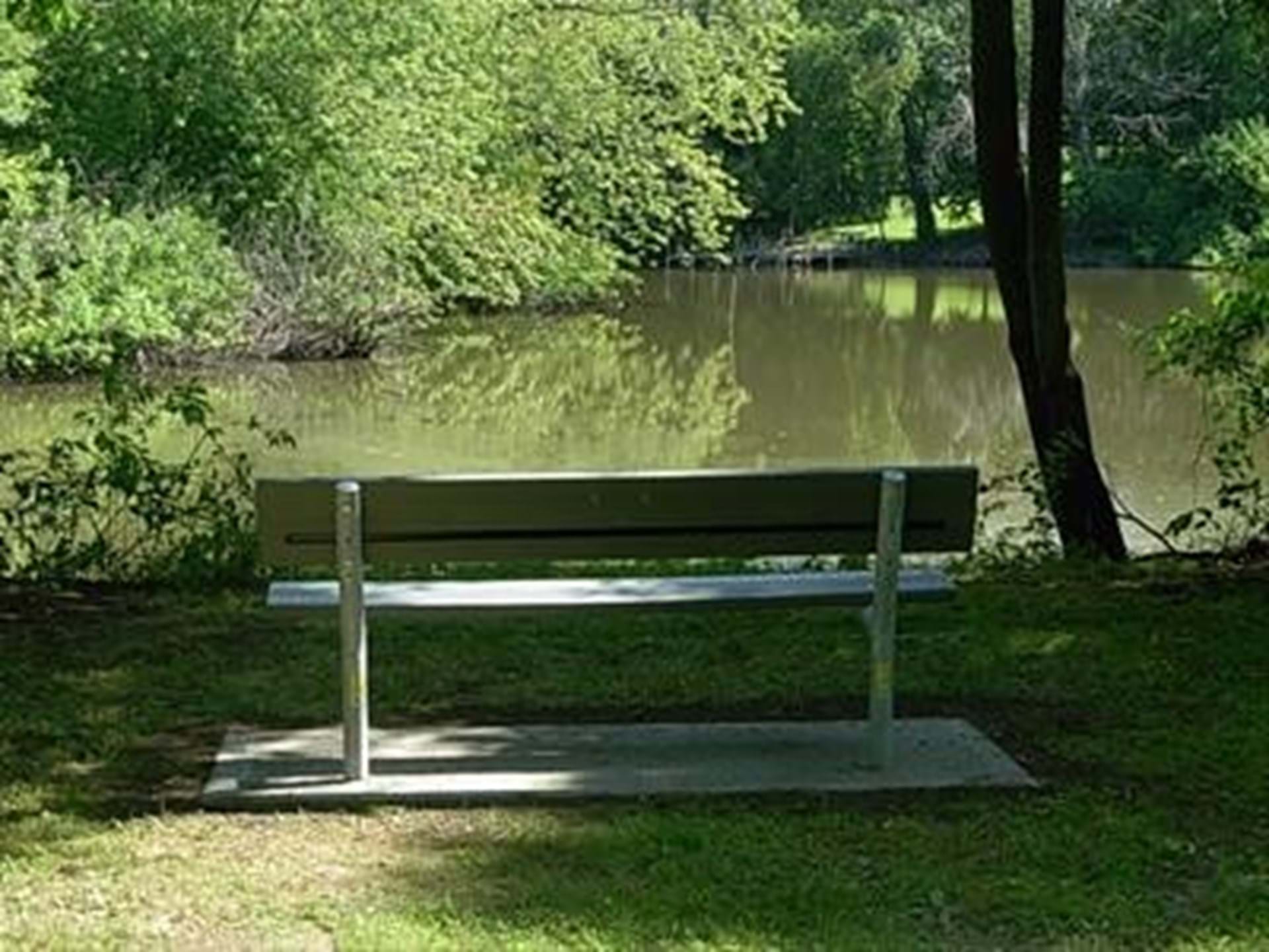 Bench overlooking Wapsipinicon River