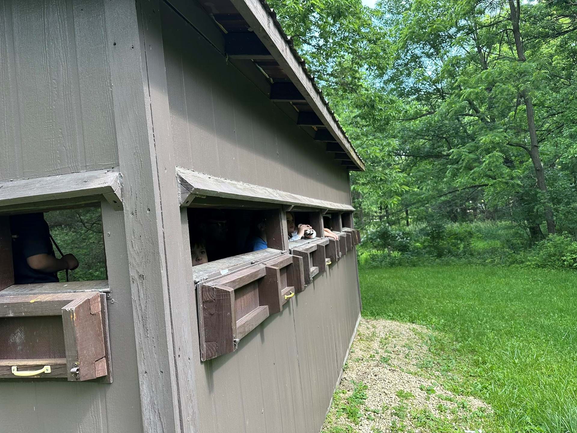 Bird blind