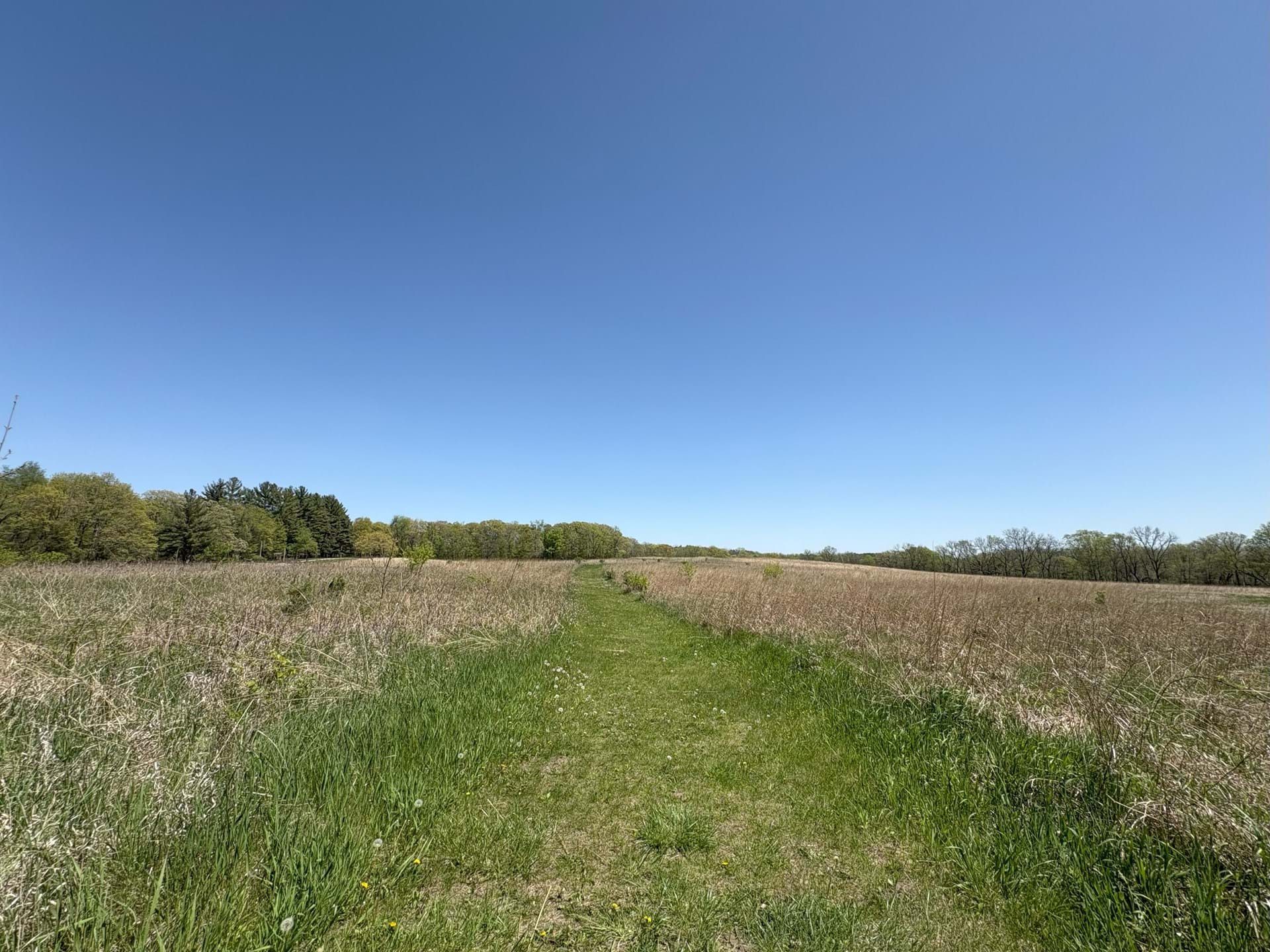 Prairie