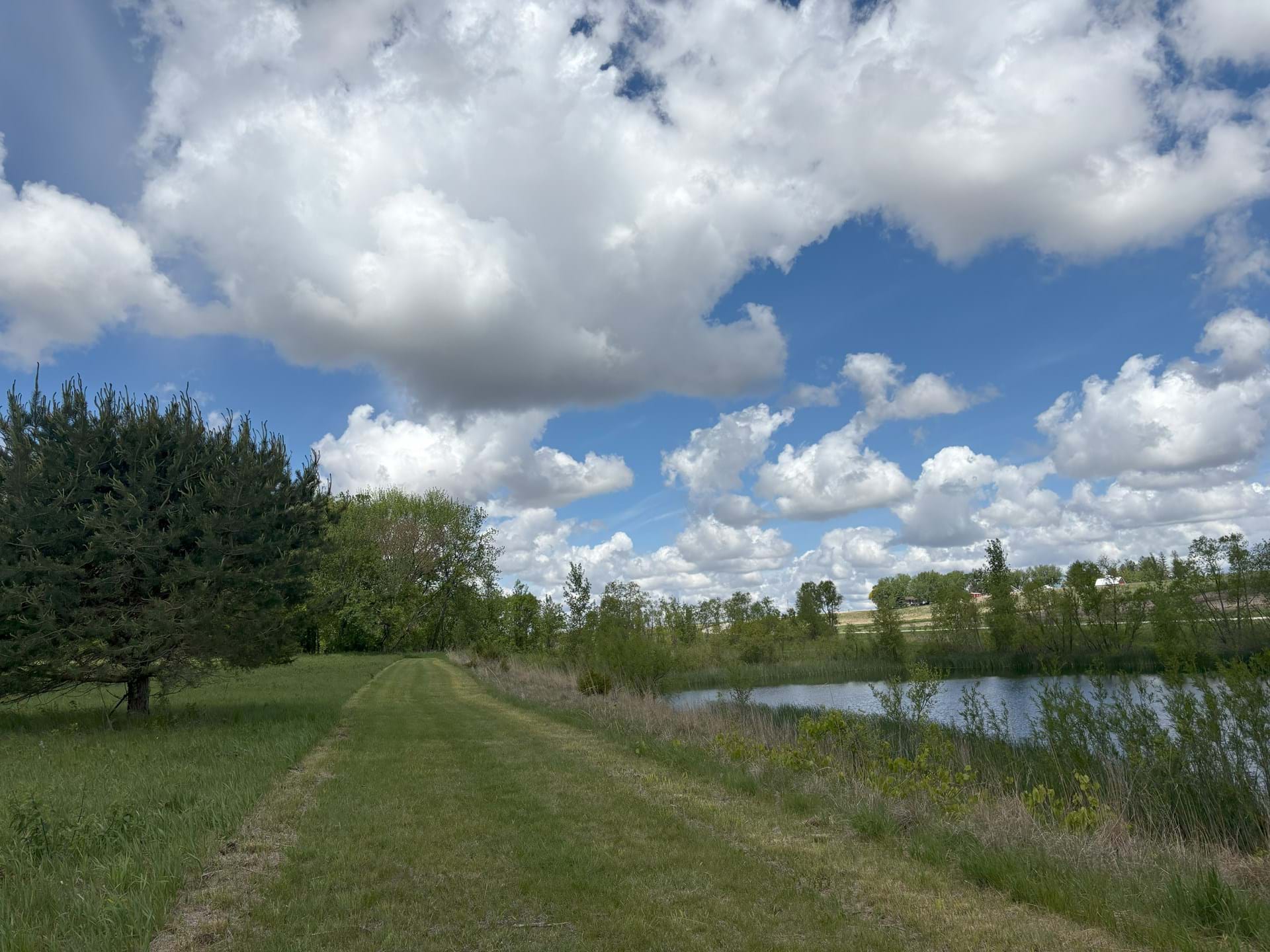 Mowed path around the pond