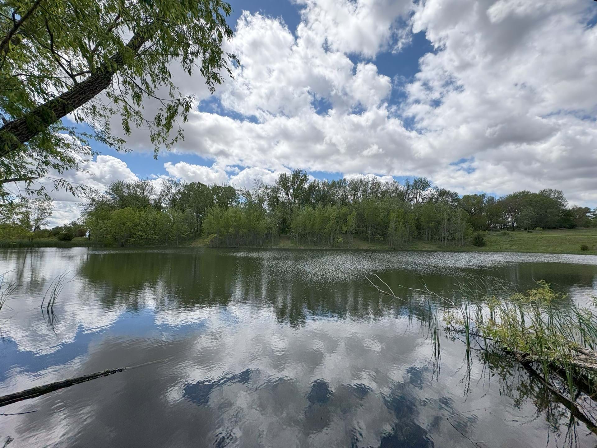 Pond