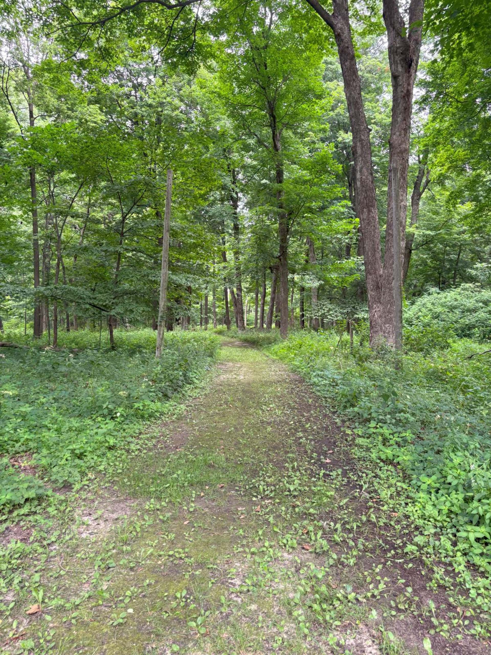 Hiking trail
