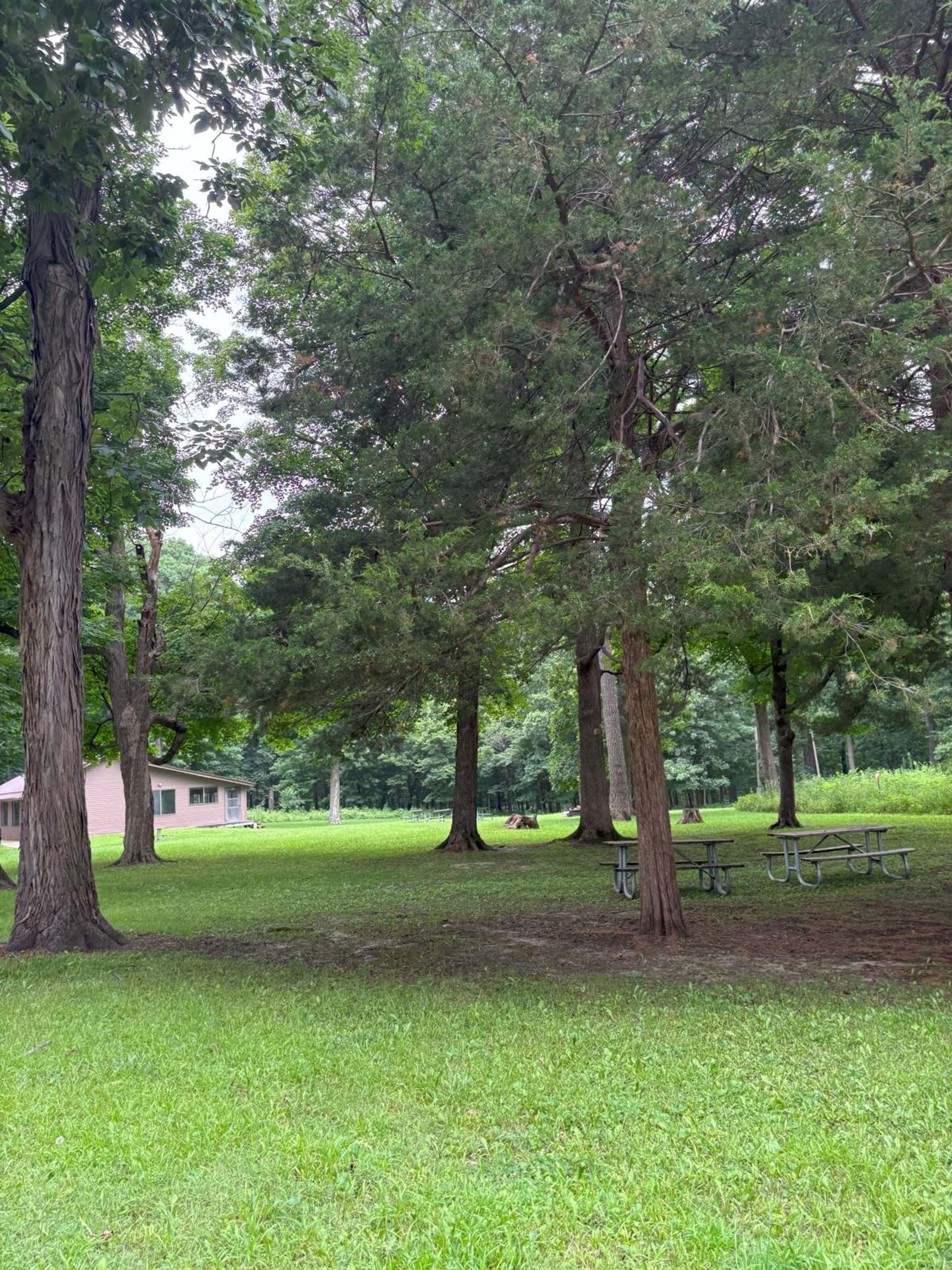 Wooded picnic area