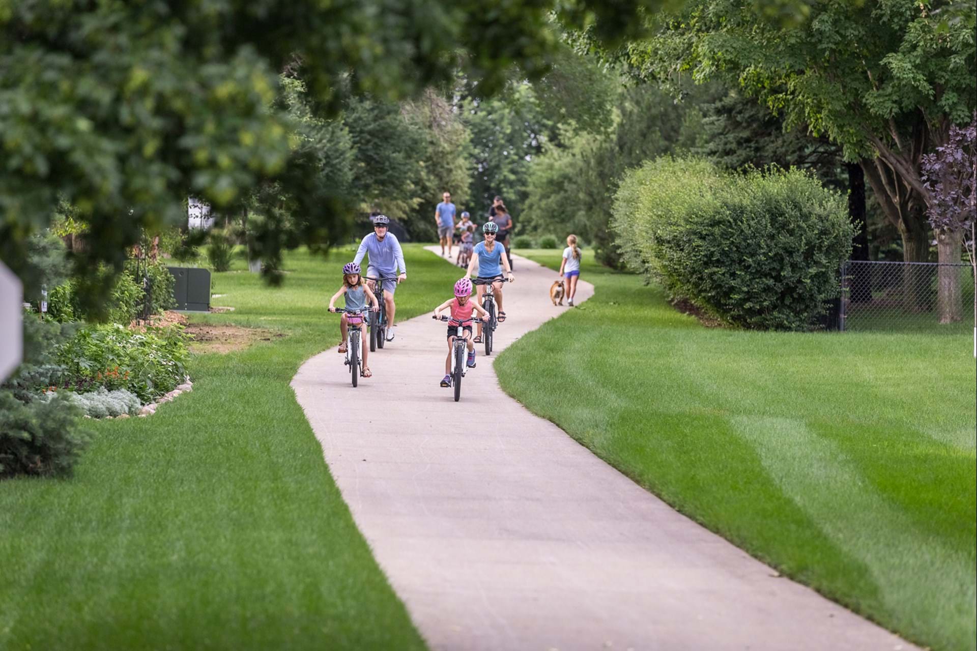 Walking, running, biking, skateboarding - the trails are fun for all.