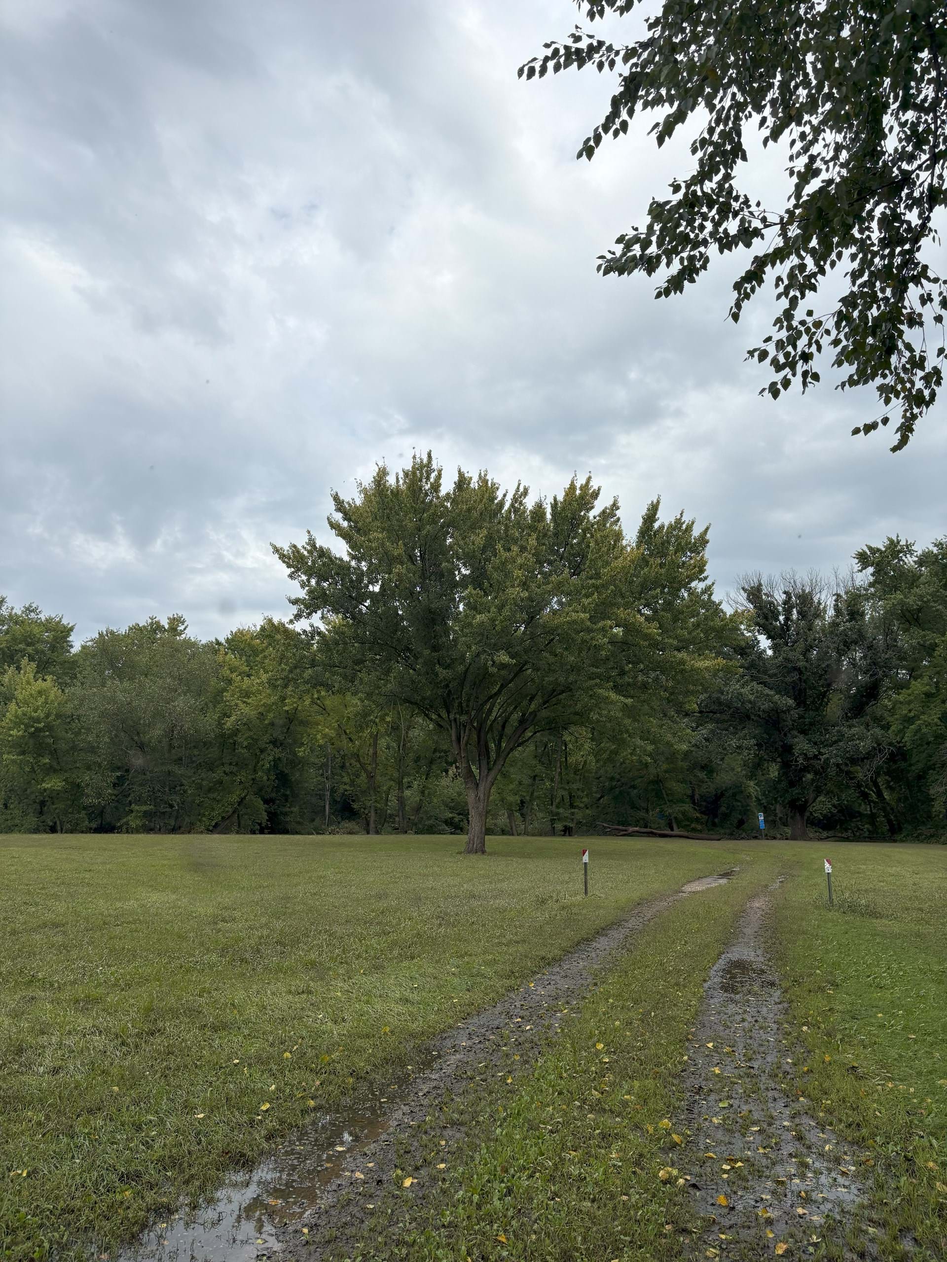 Trail & picnic area