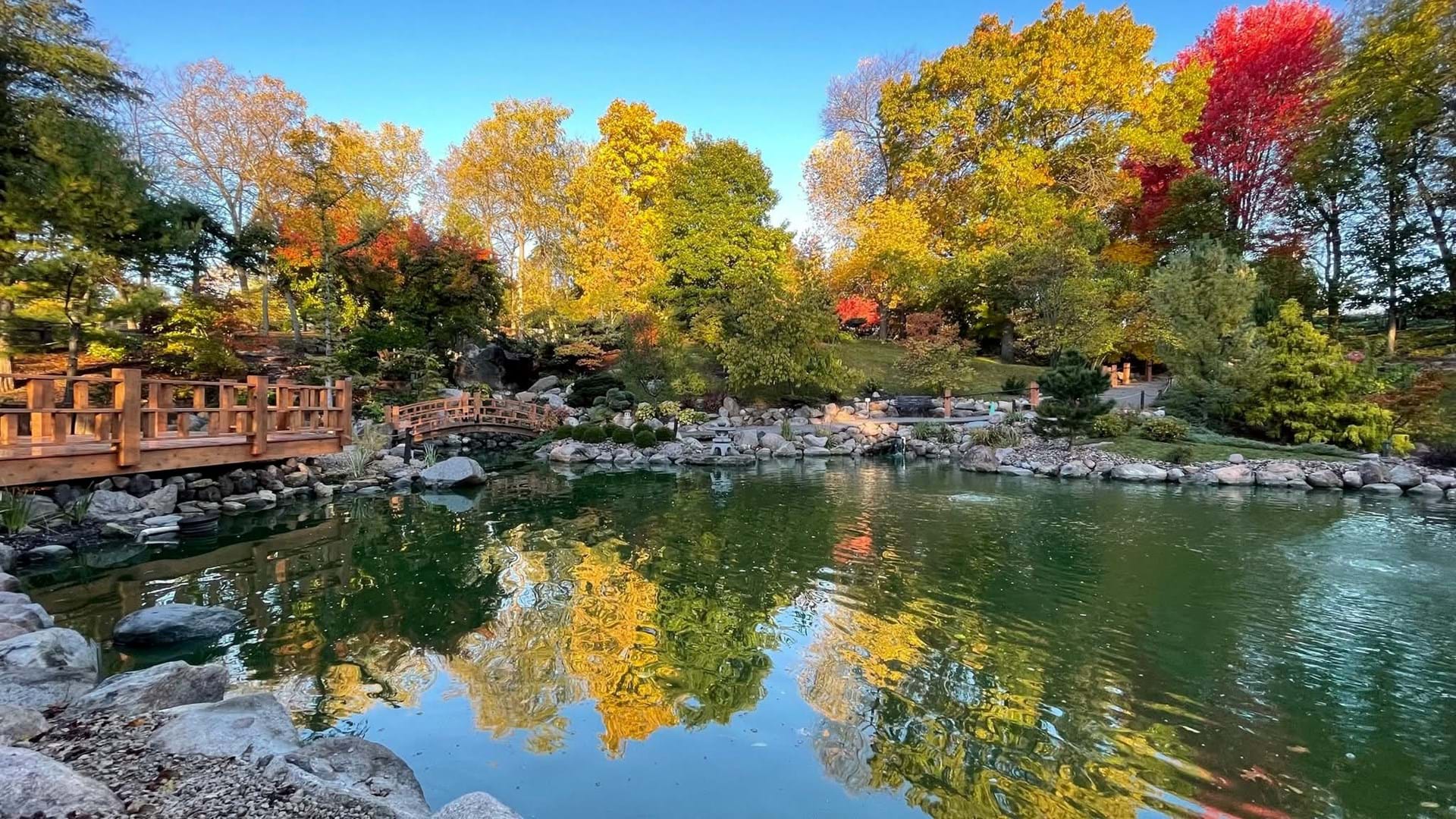 Japanese Garden & Koi Pond