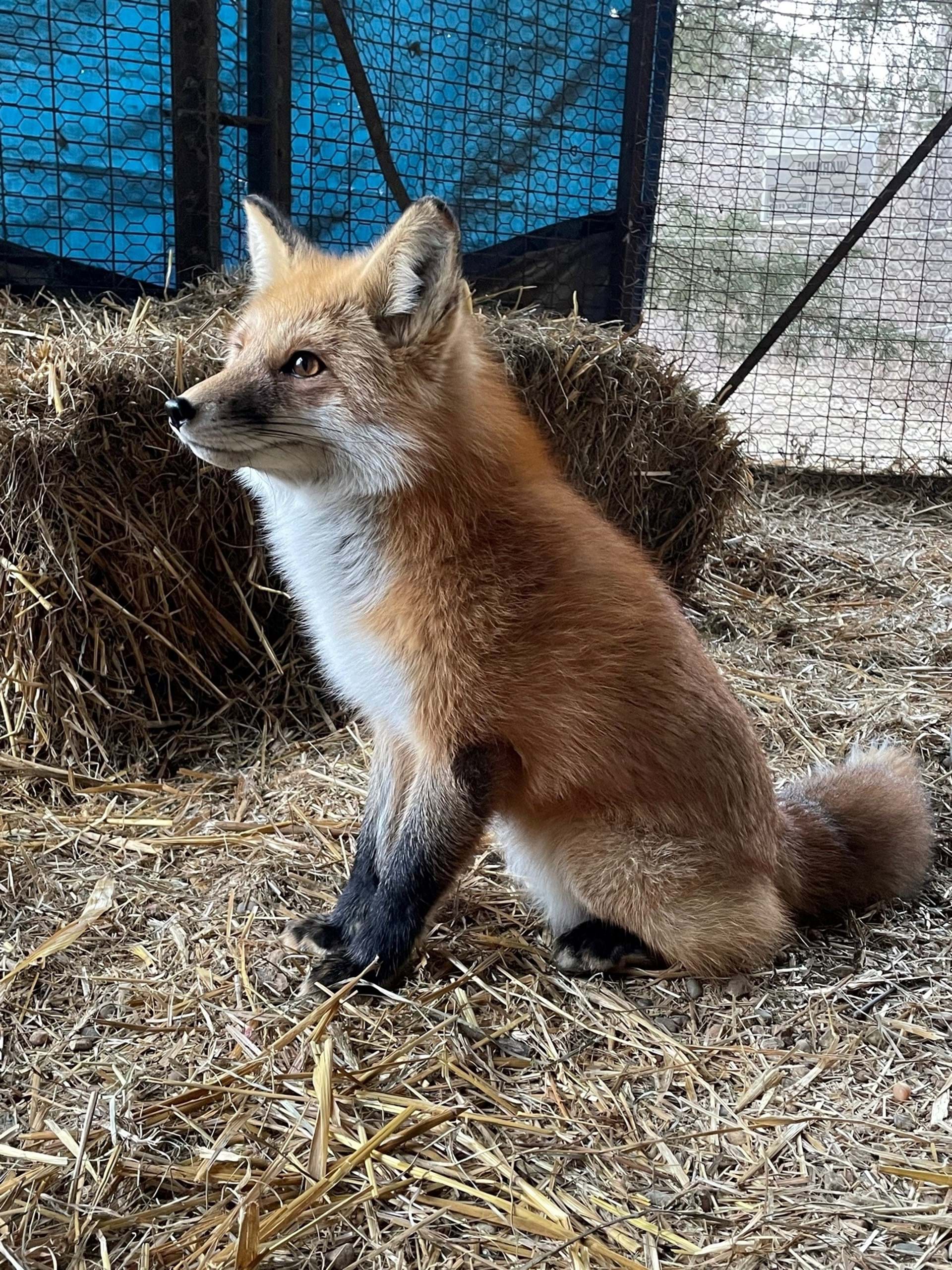 Oakland Mills Nature Center Outdoor Classroom