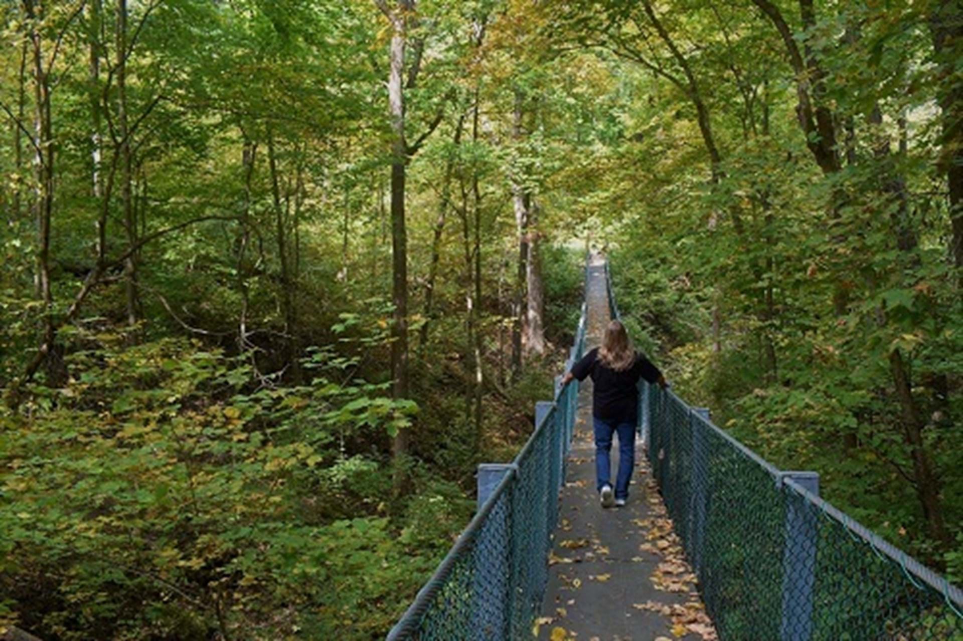 Oakland Mills Swinging Bridge