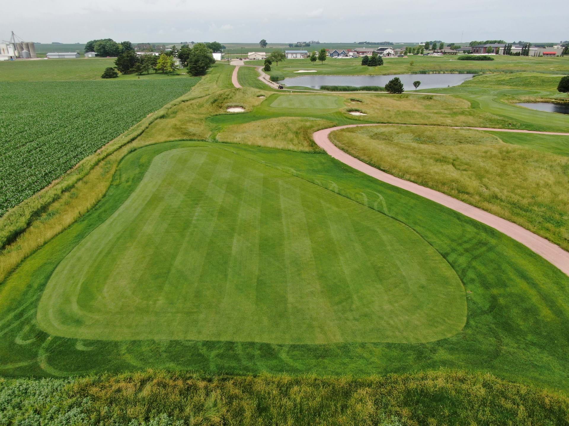 Lil Wispy Postage Stamp