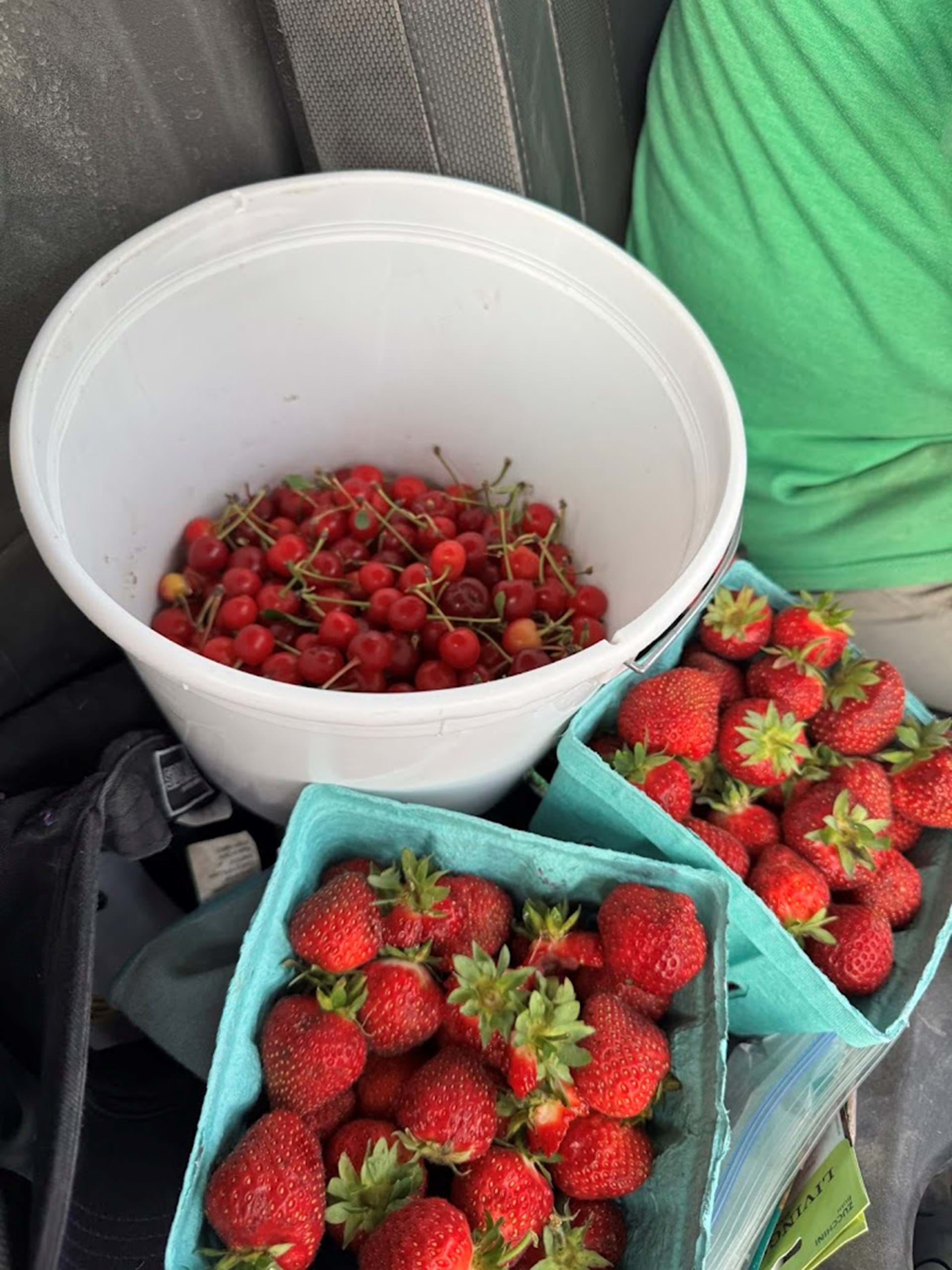 Tasty Tart Cherries & Strawberries