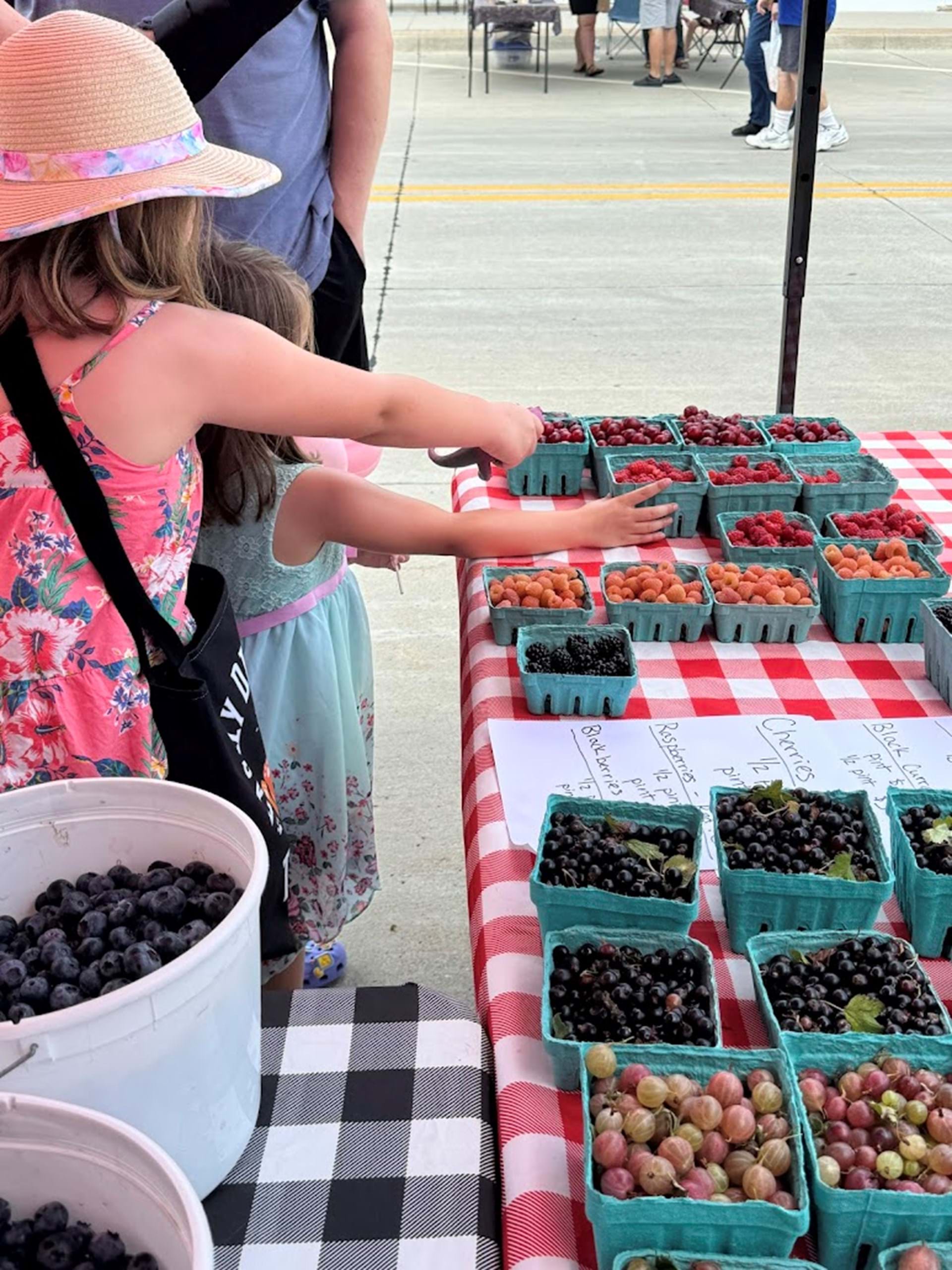 So much to choose from!