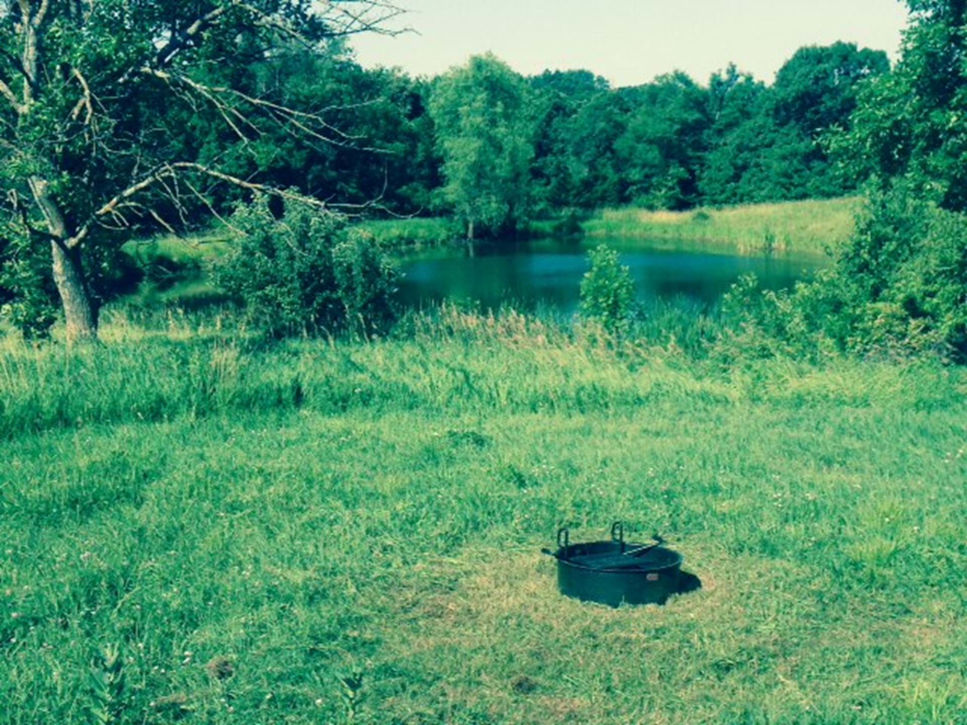 Clanton Creek Primitive Campsite