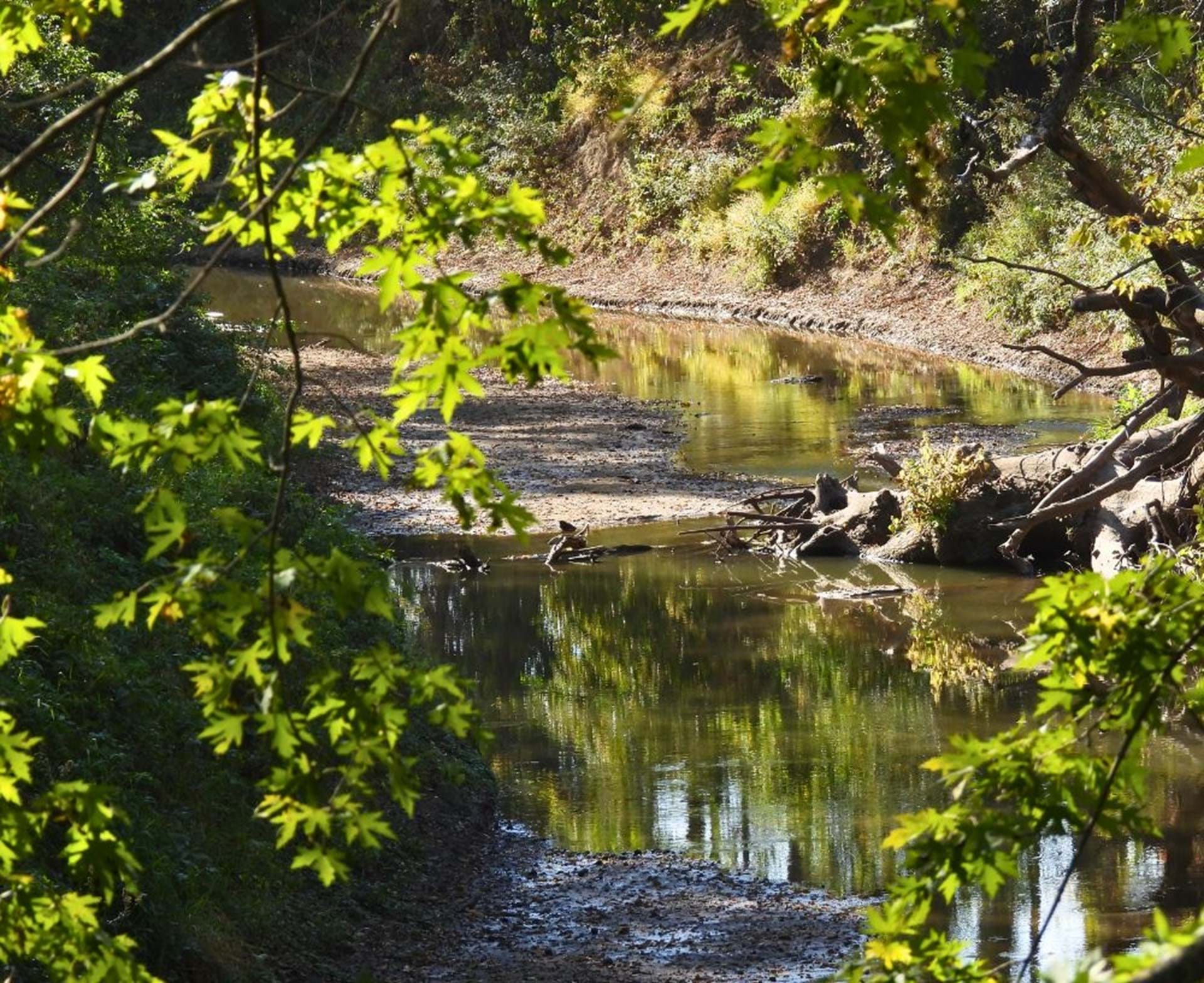 View of North River from Guye Woods