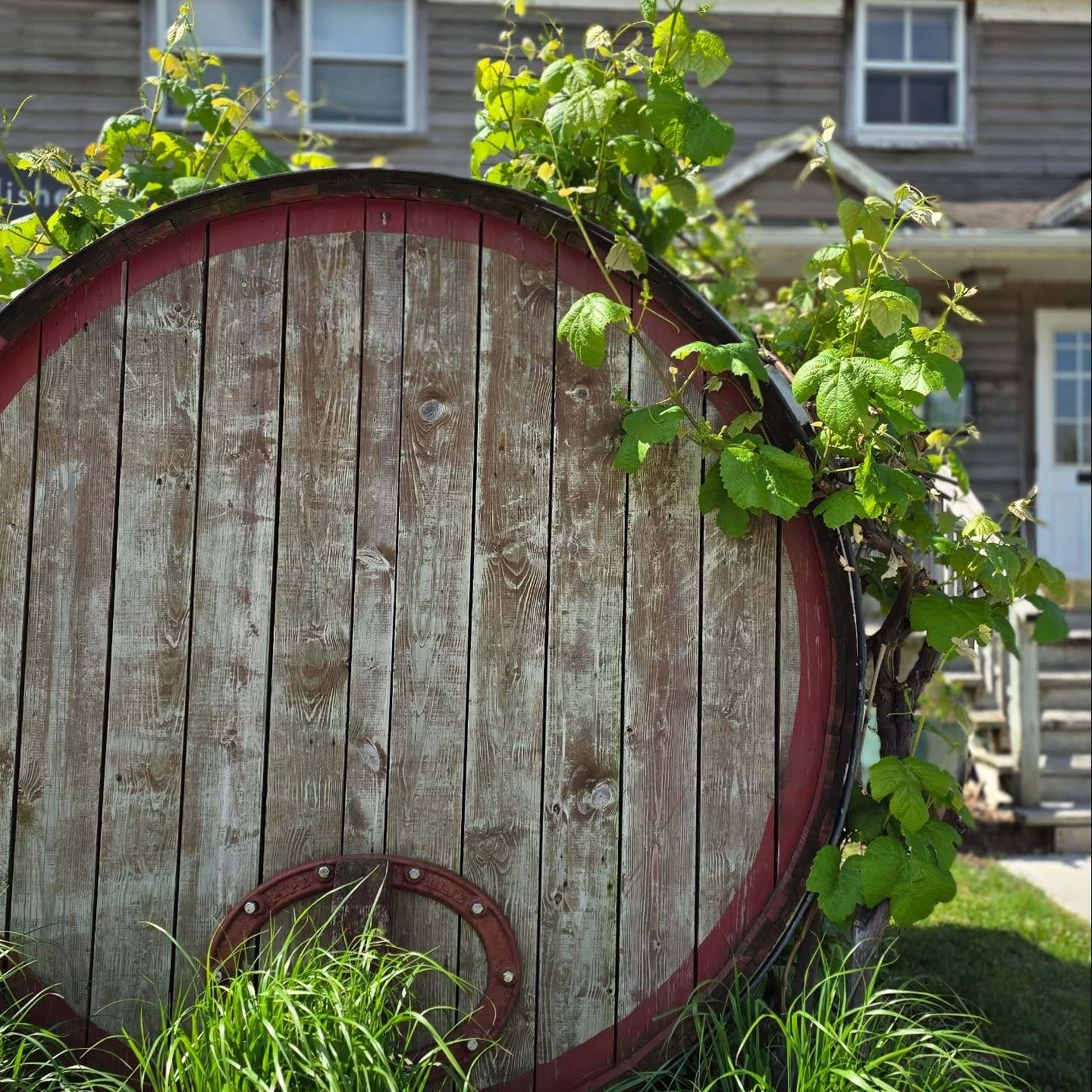 The famous iconic barrel at the front yard of our store.