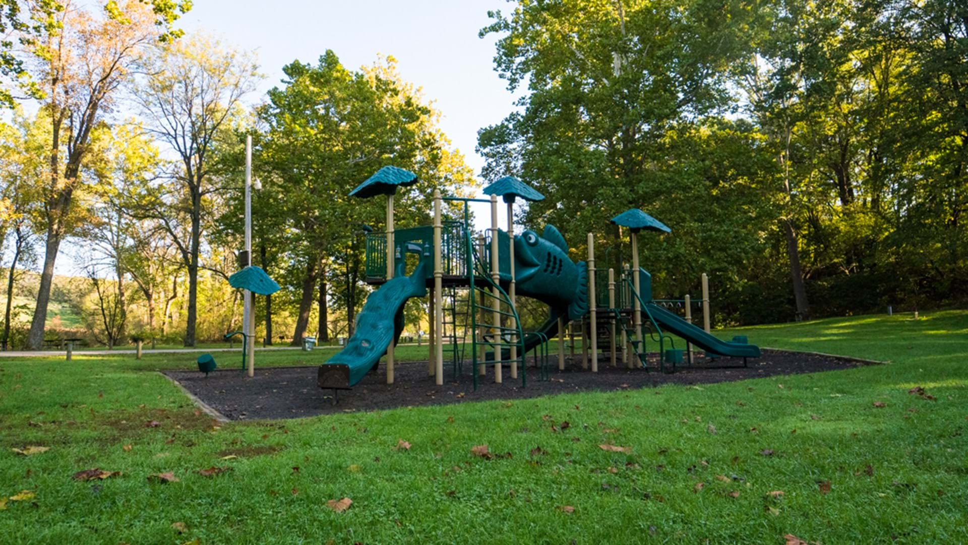 Swiss Valley Playground