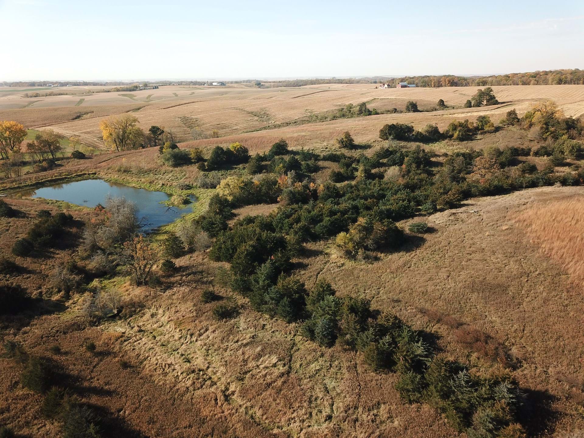Ringneck Ridge Fall View