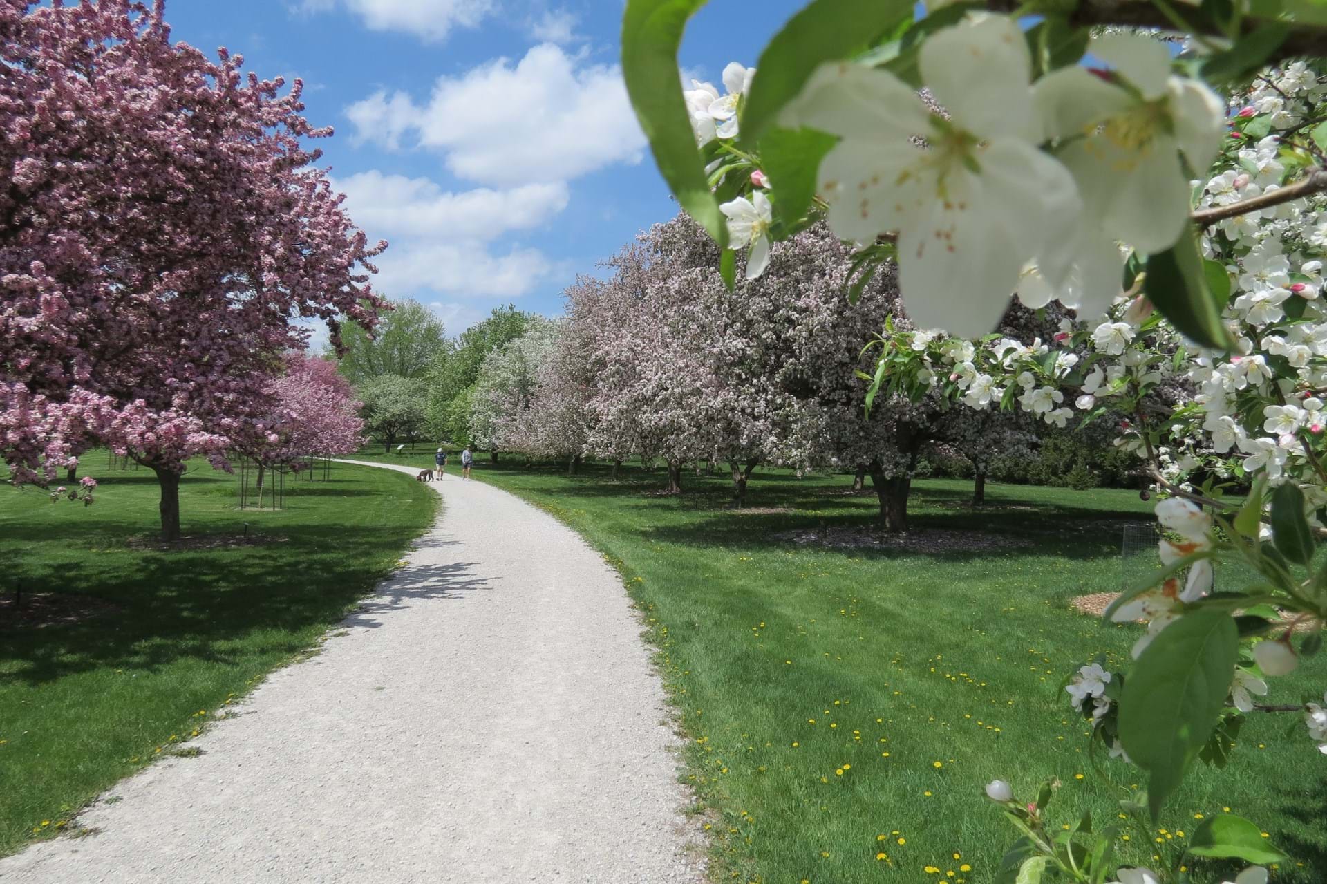 Morgan Creek Arboretum and Butterfly Garden