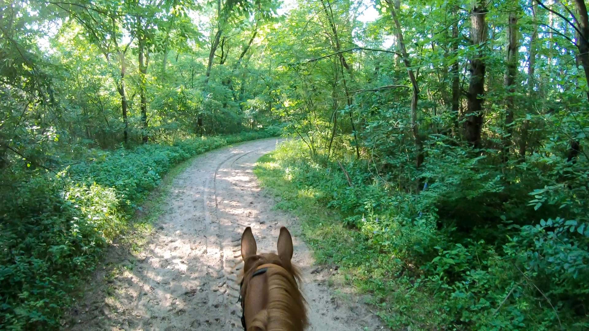 12 miles of multi-use trails, equestrian friendly