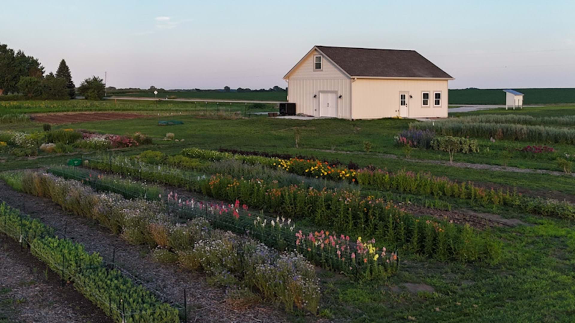 Flower beds and cottage
