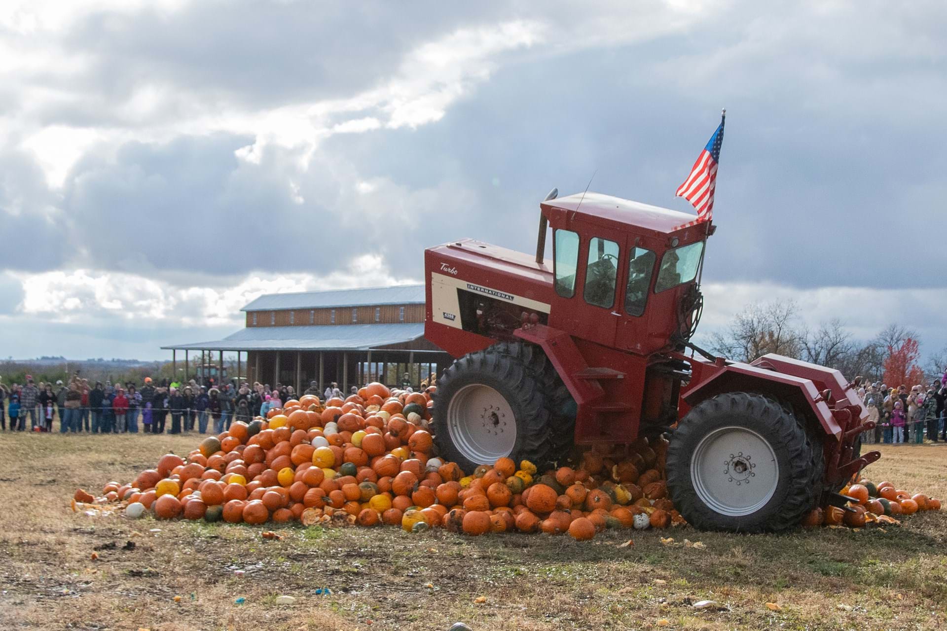 Pumpkin Destruction / Nov 7 & 8