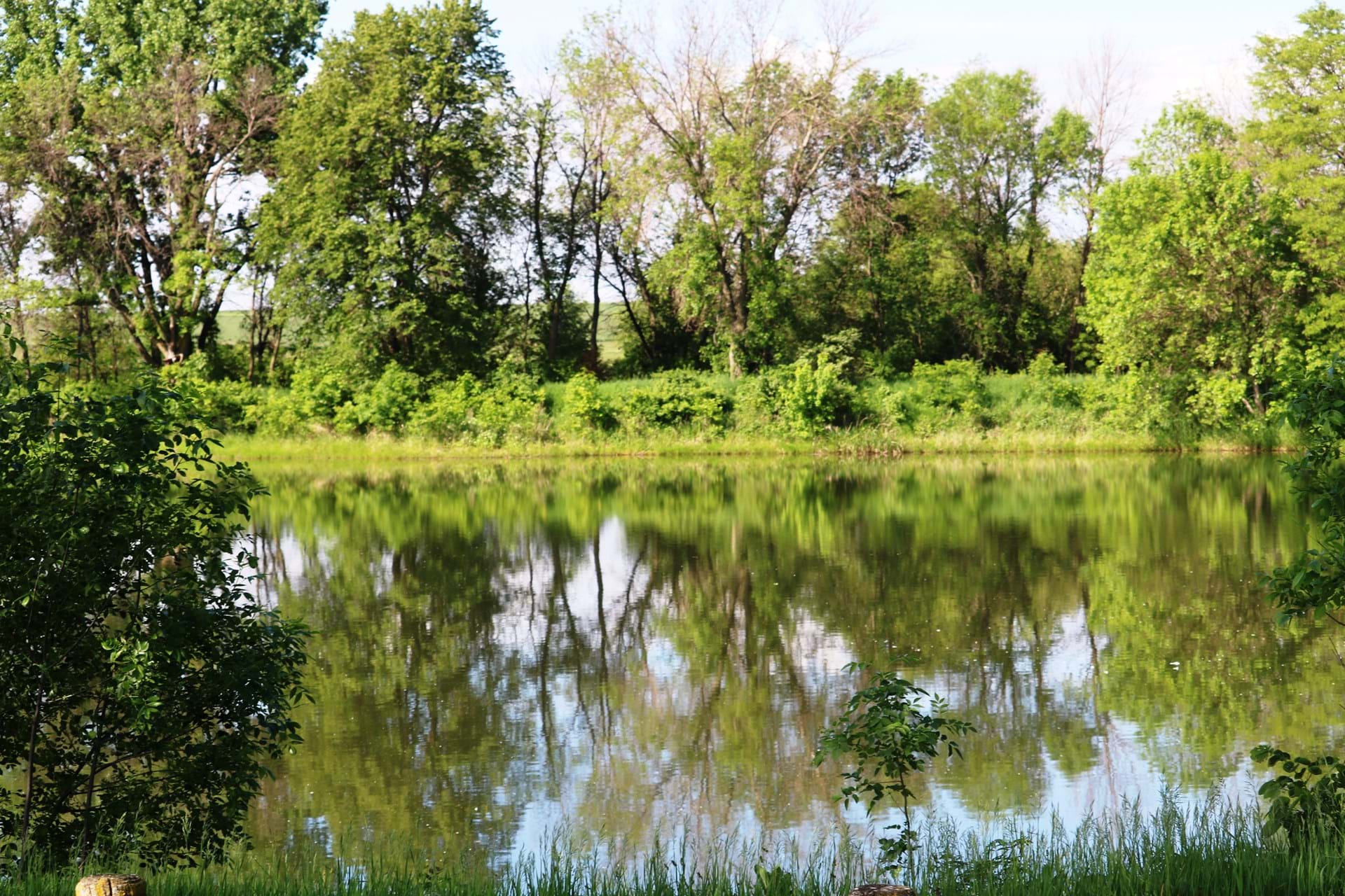Larson Lake