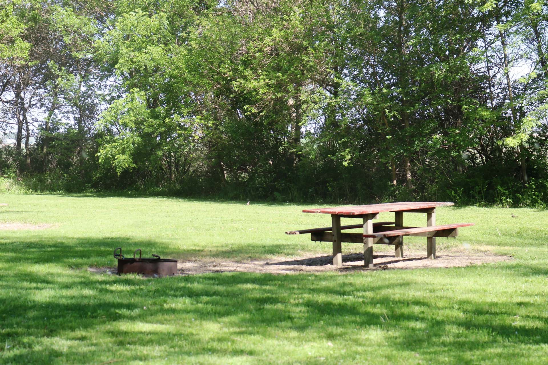 Primitive Campsite