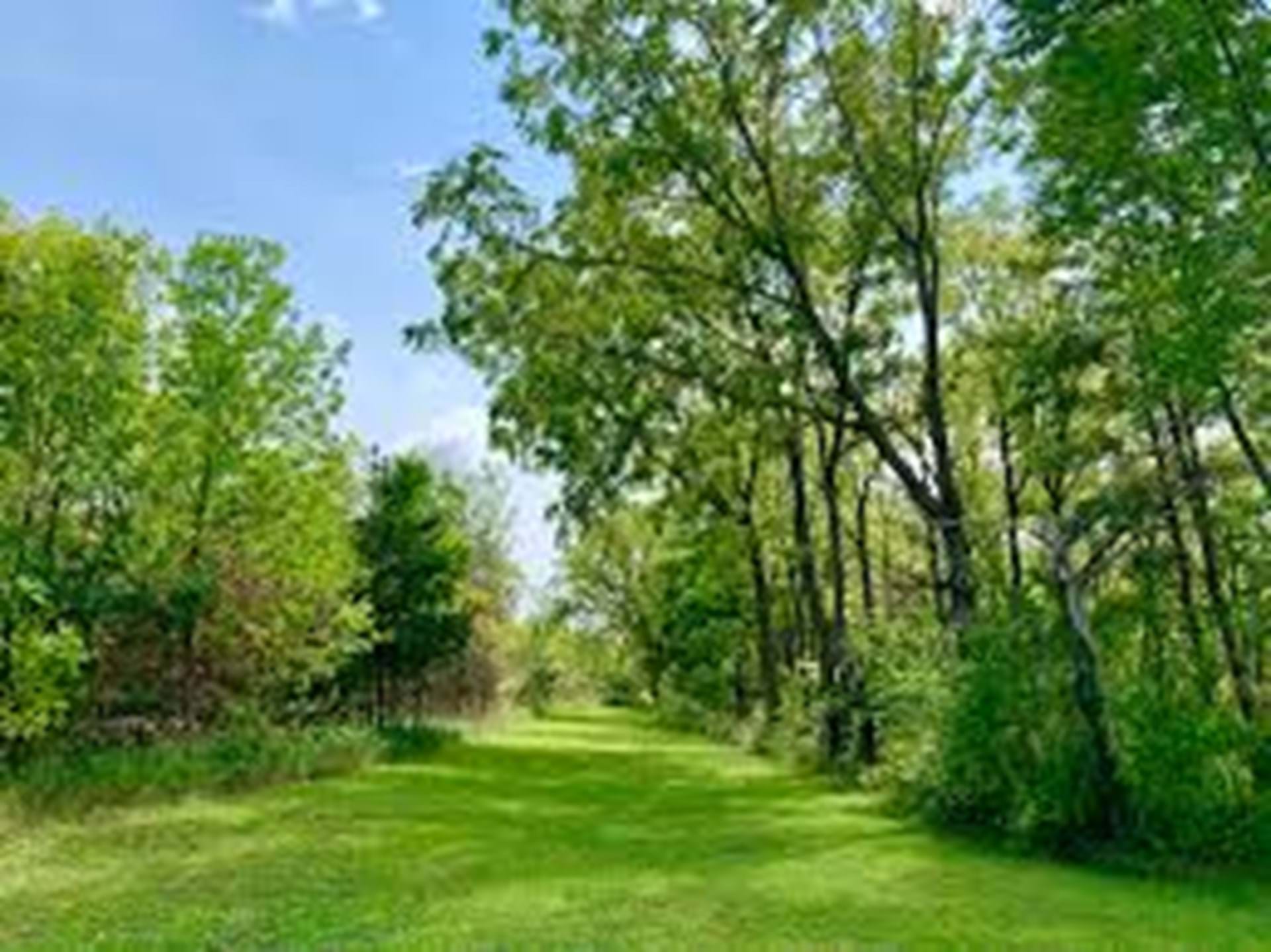 Walking Trail at Grimes Farm