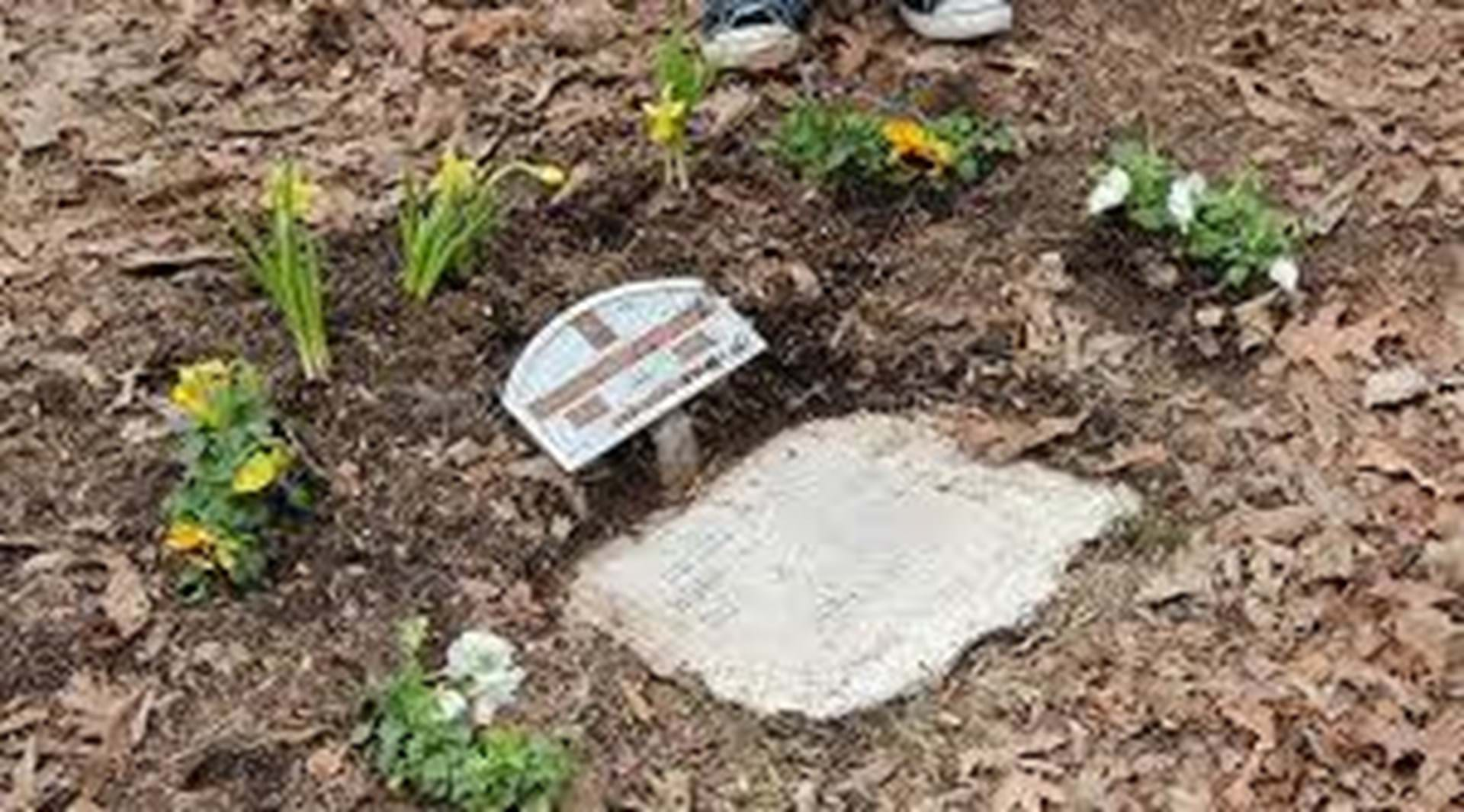 Richardsons Point marked grave