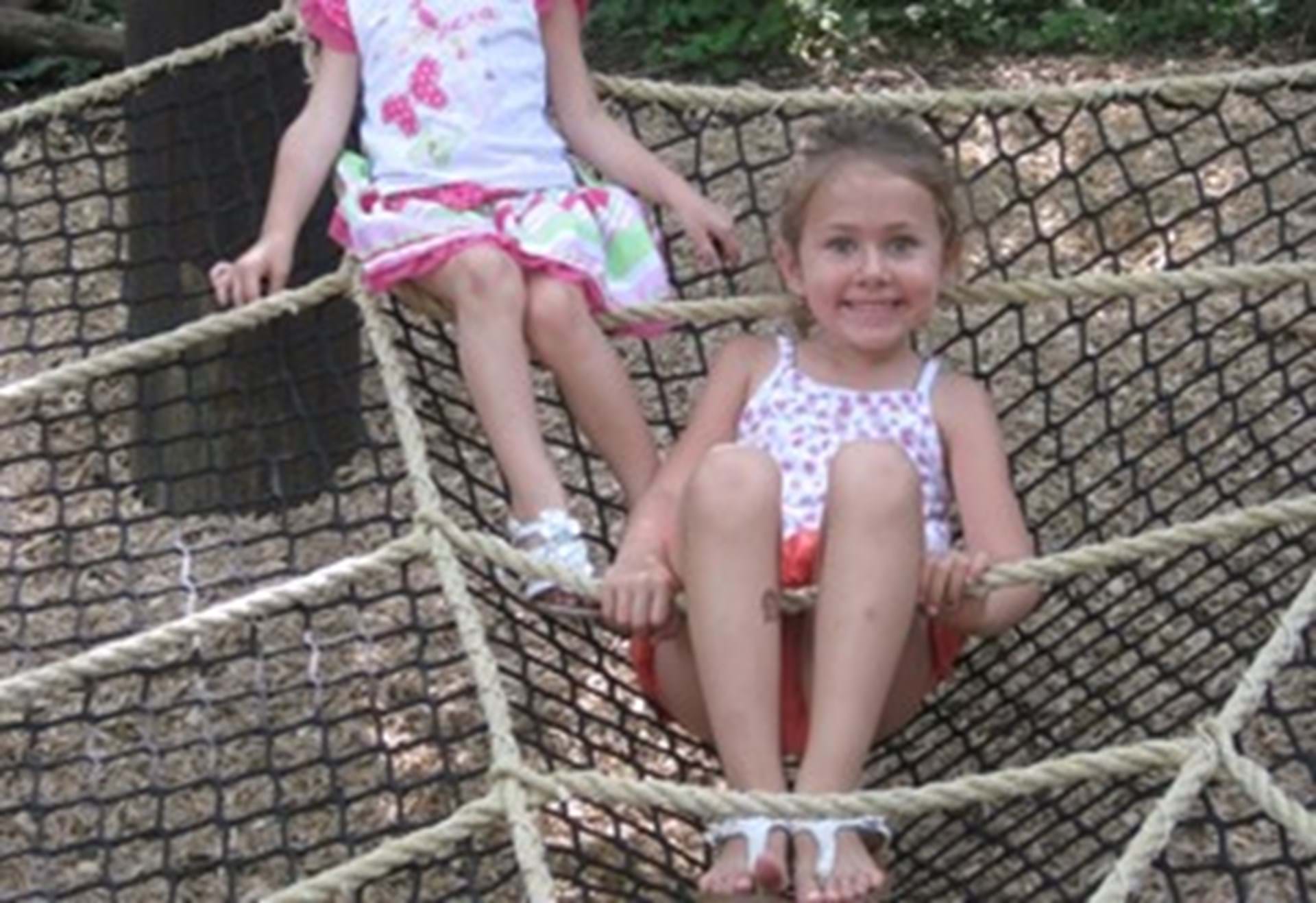 Spider Web at the Playscape