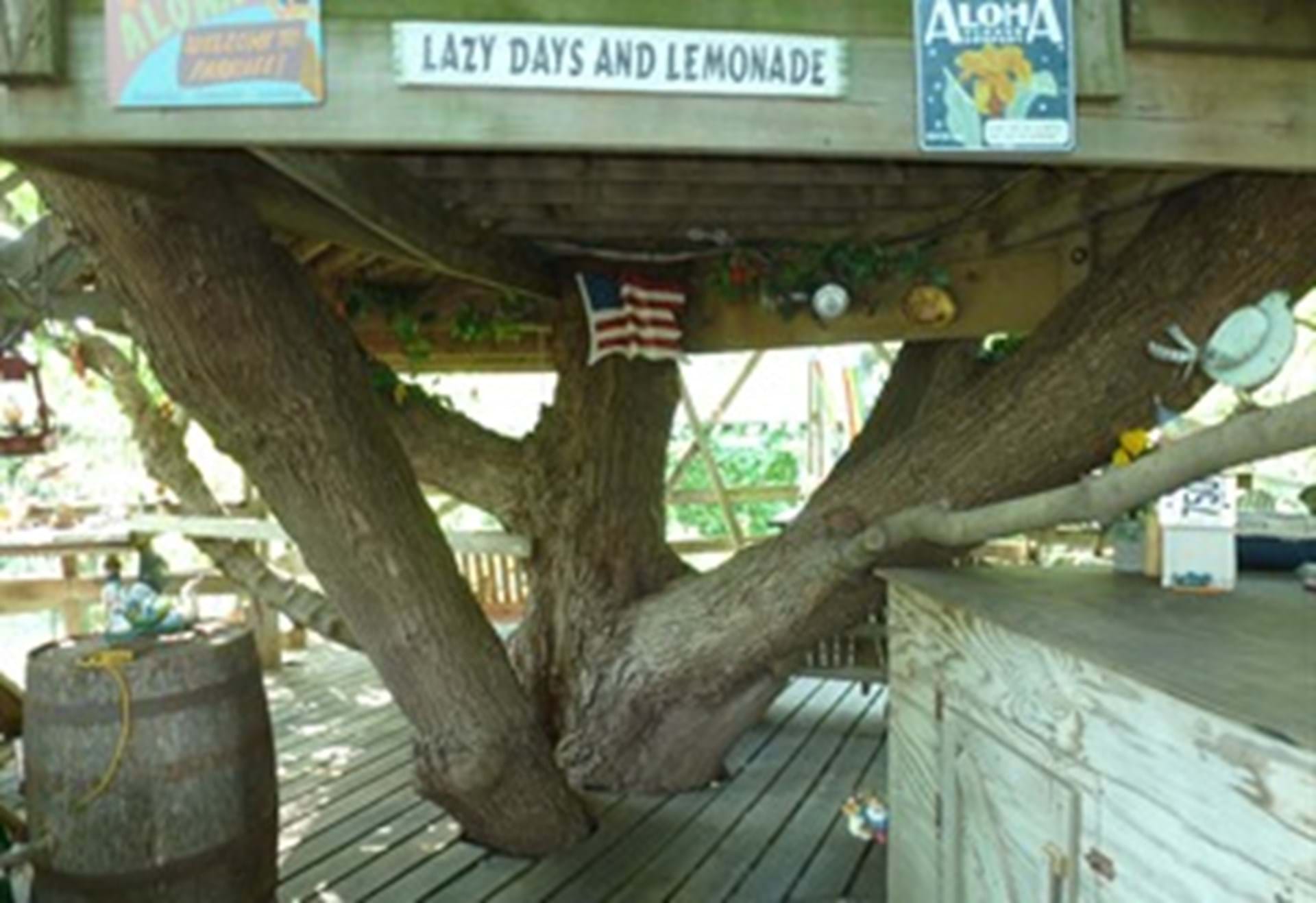 Heart of the Tree
