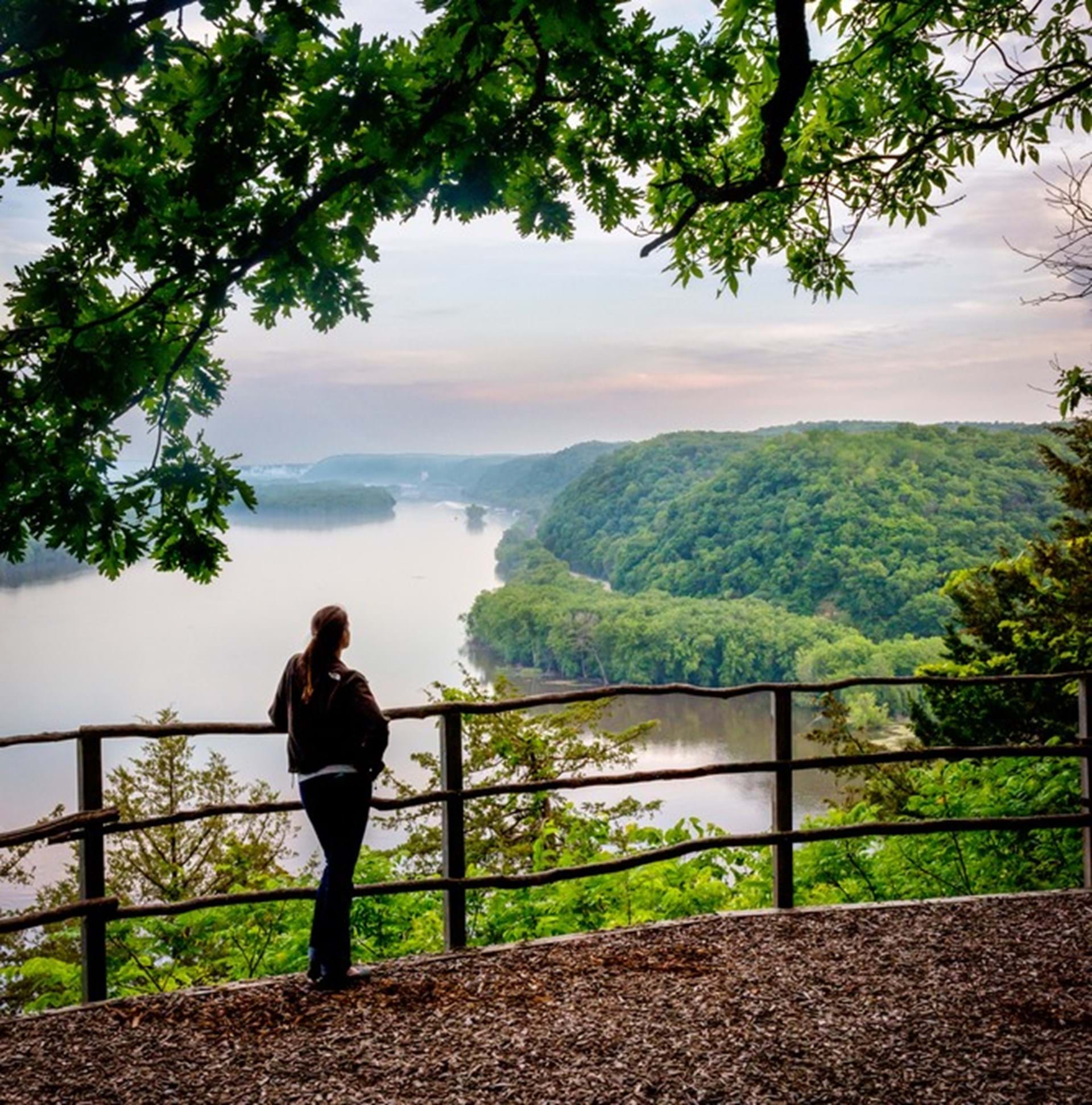 Effigy Mounds Are Often Created In What Type Of Shape - zataccx