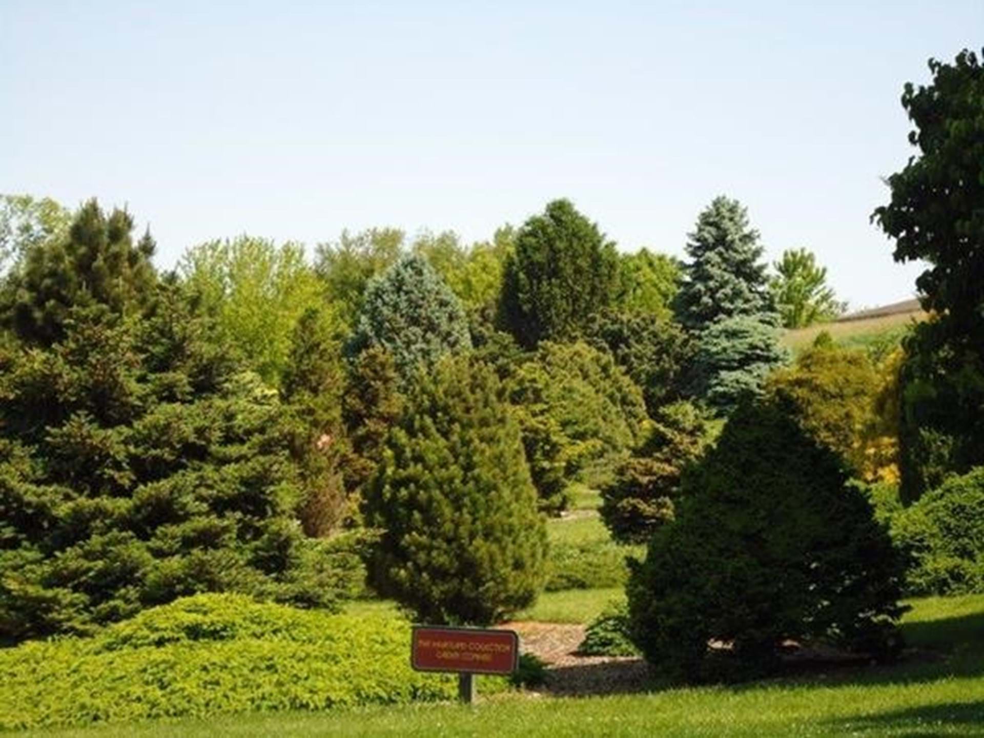 Bickelhaupt Arboretum view
